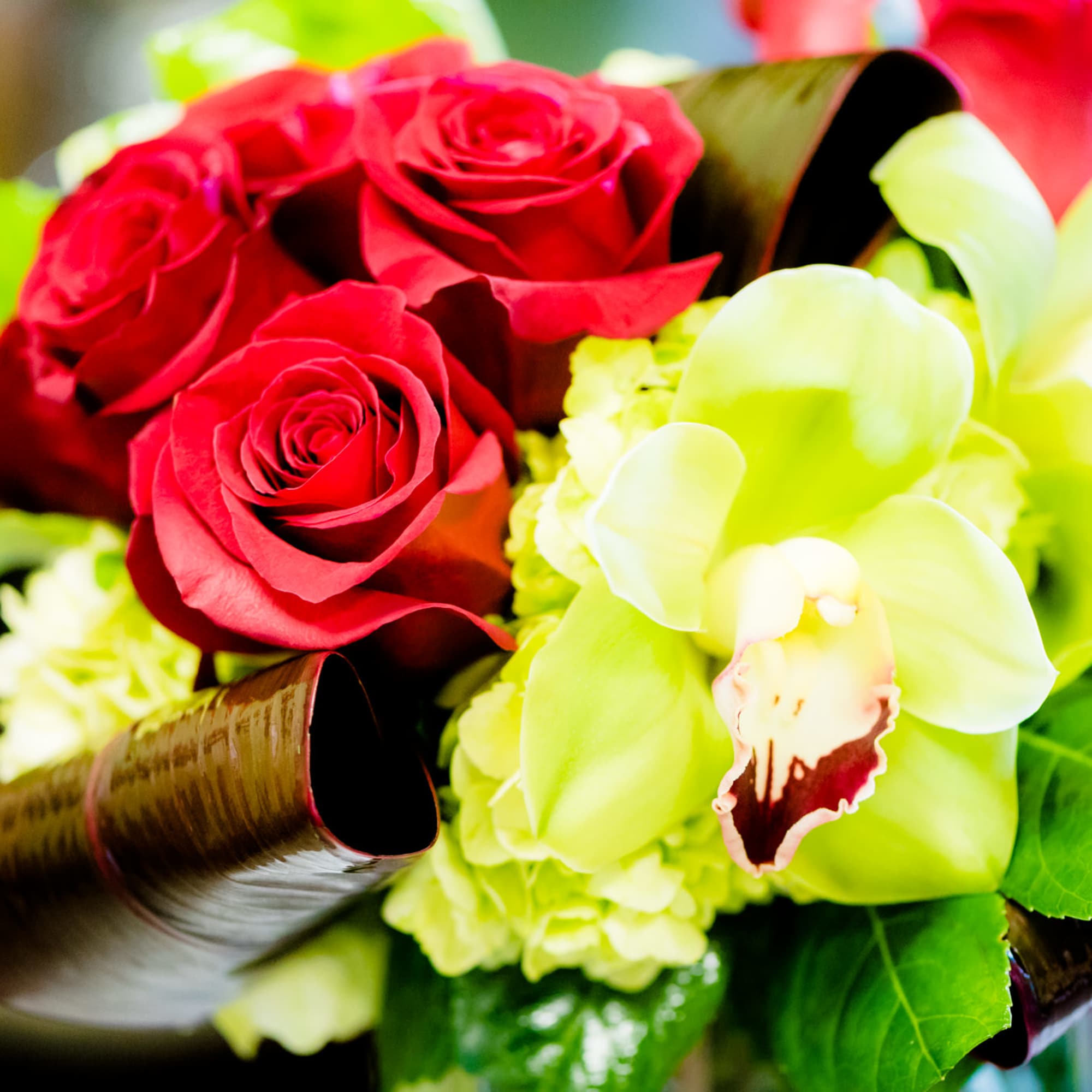 Red roses and pale green orchids in a bouquet with glossy leaves