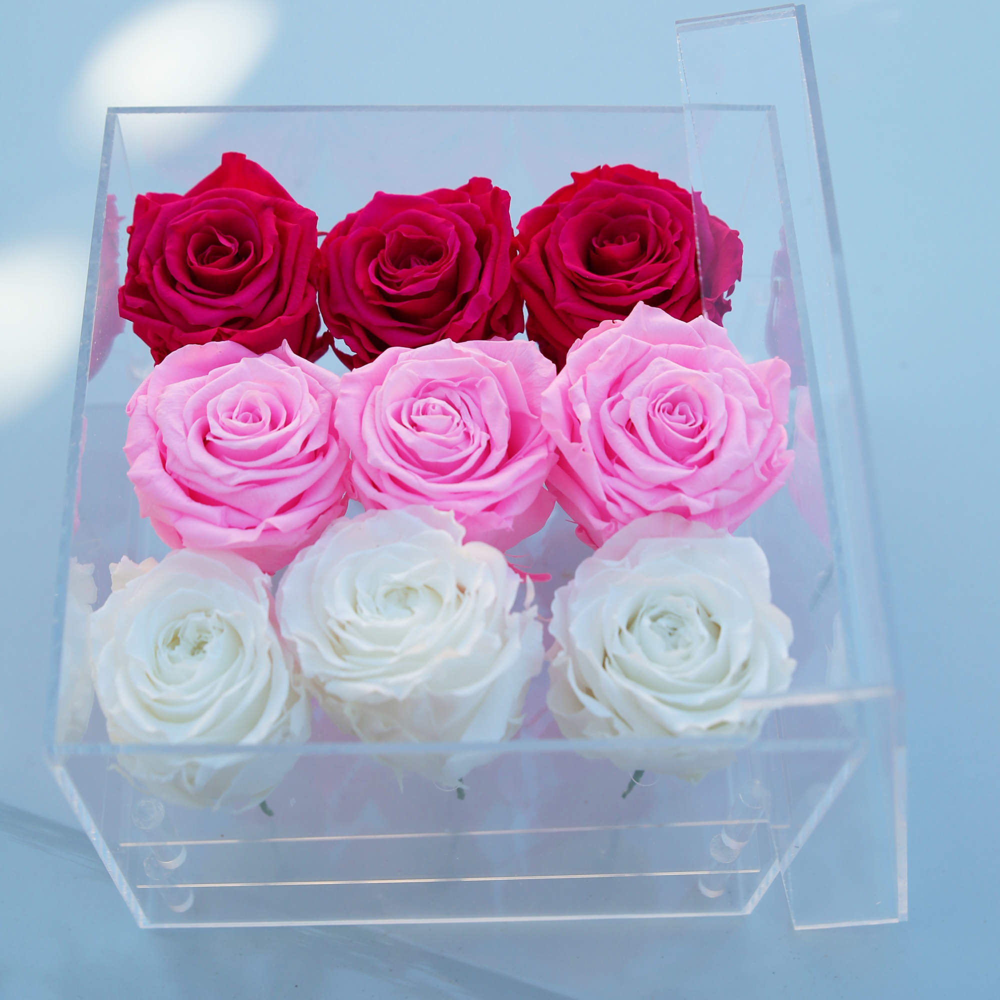 Nine roses arranged in a clear acrylic box