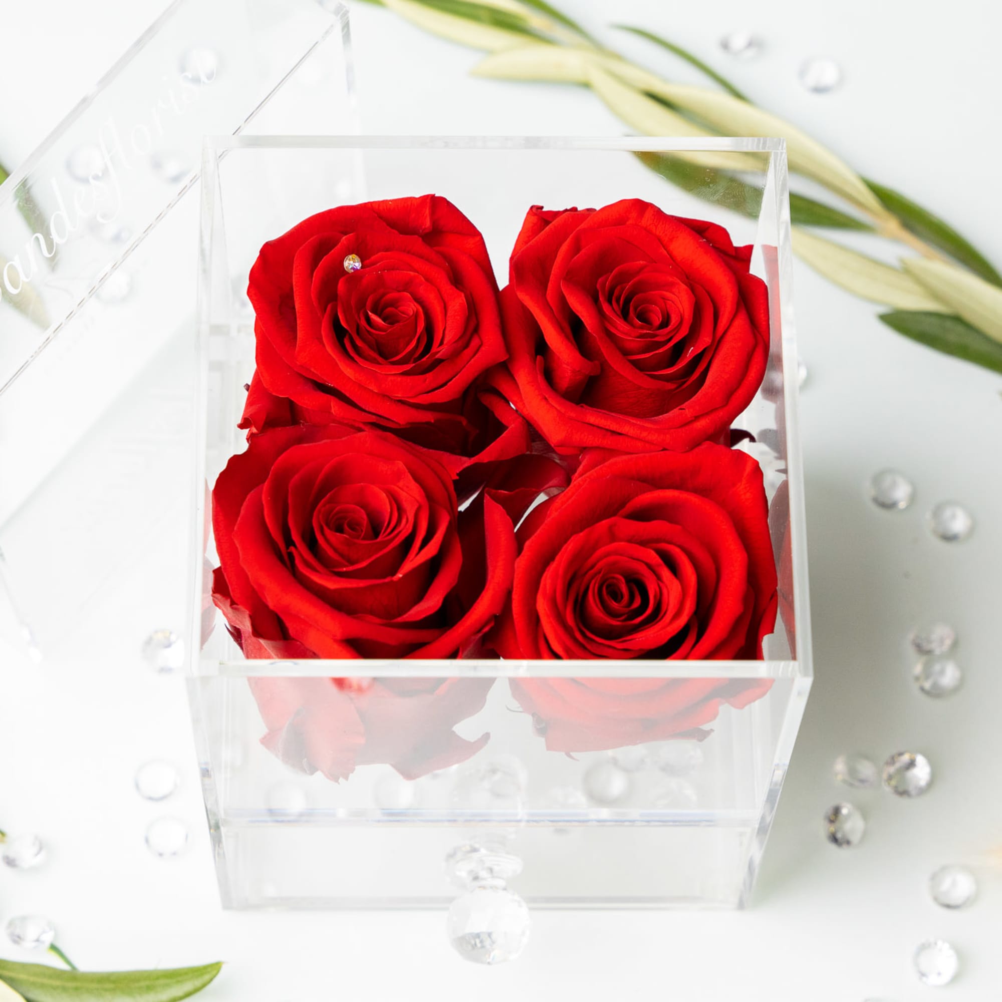 Four red roses in a clear square box on a white surface