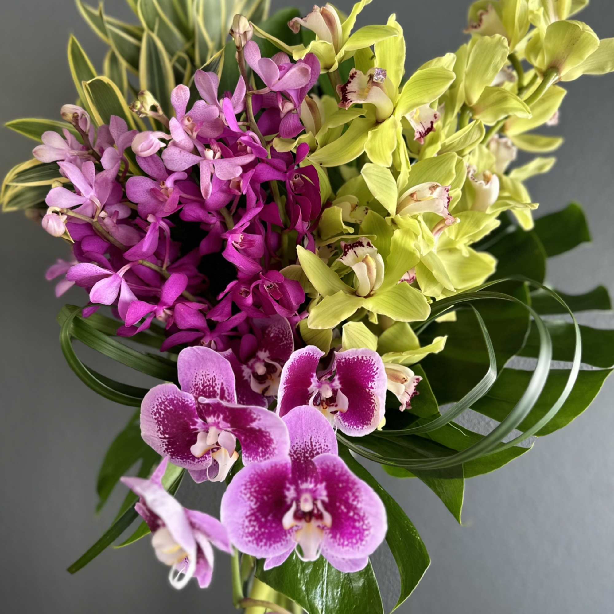 Bouquet of pink and yellow orchids with glossy green leaves