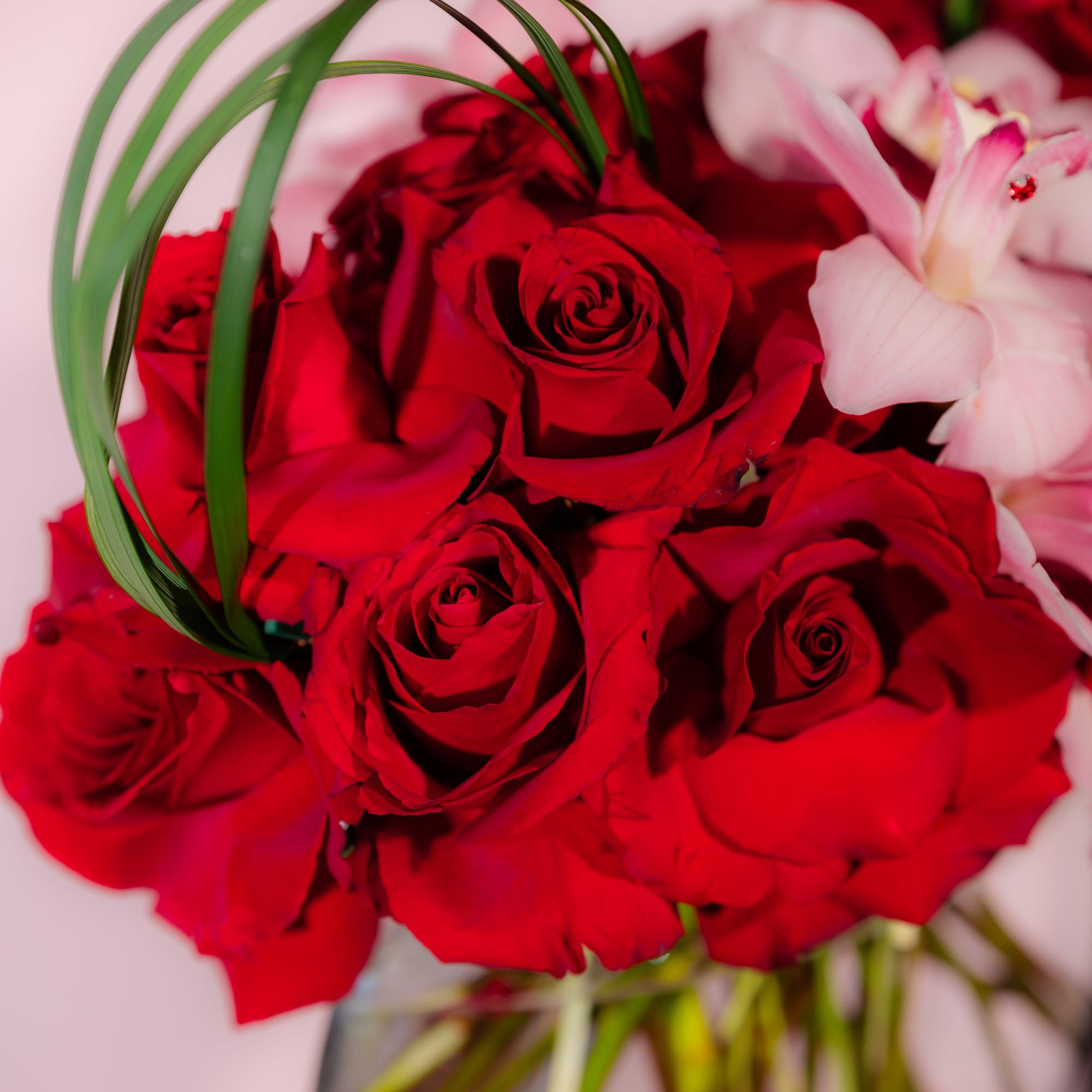 Bouquet of red roses with a few pale pink flowers