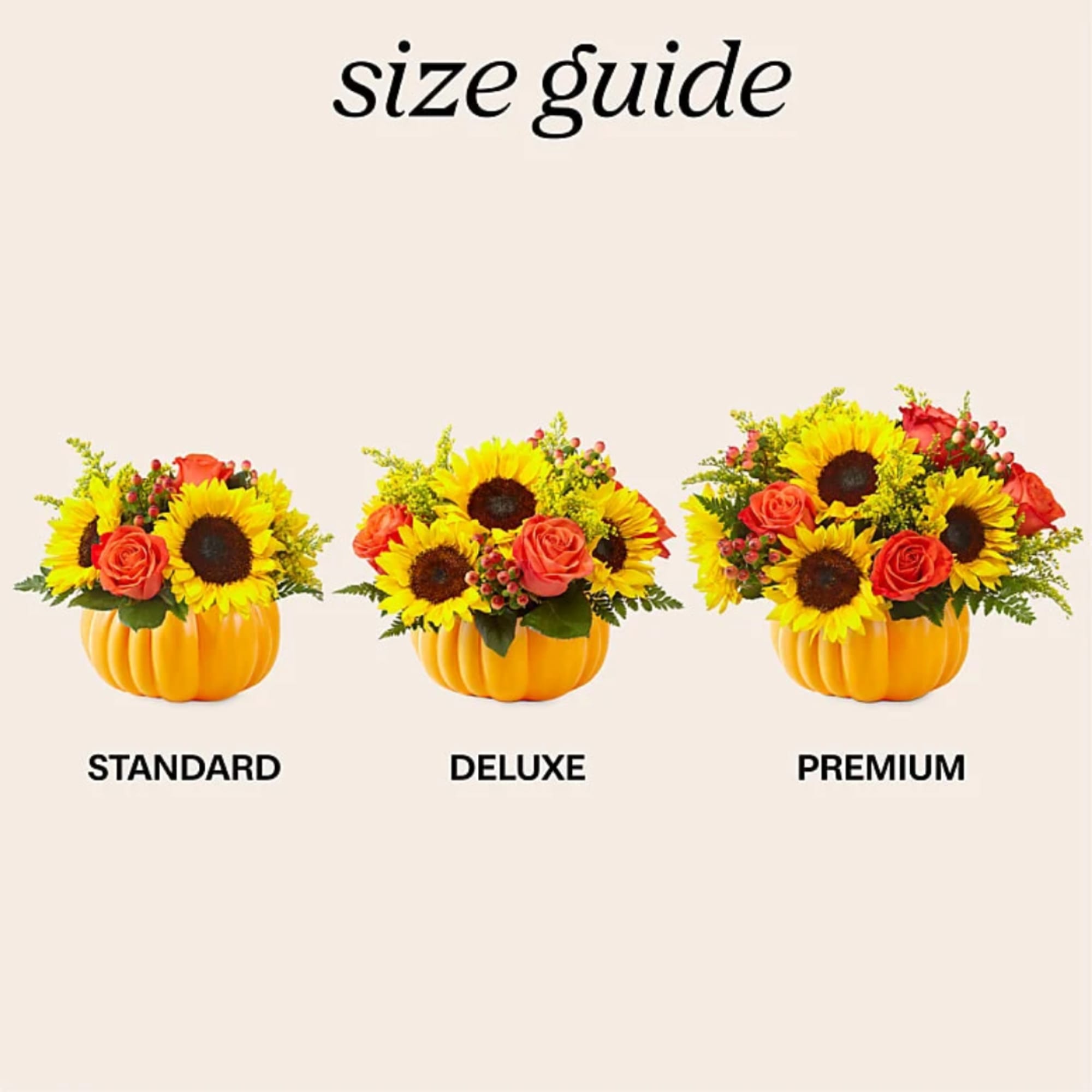Three sunflower and rose arrangements in pumpkin containers labeled standard, deluxe, and premium