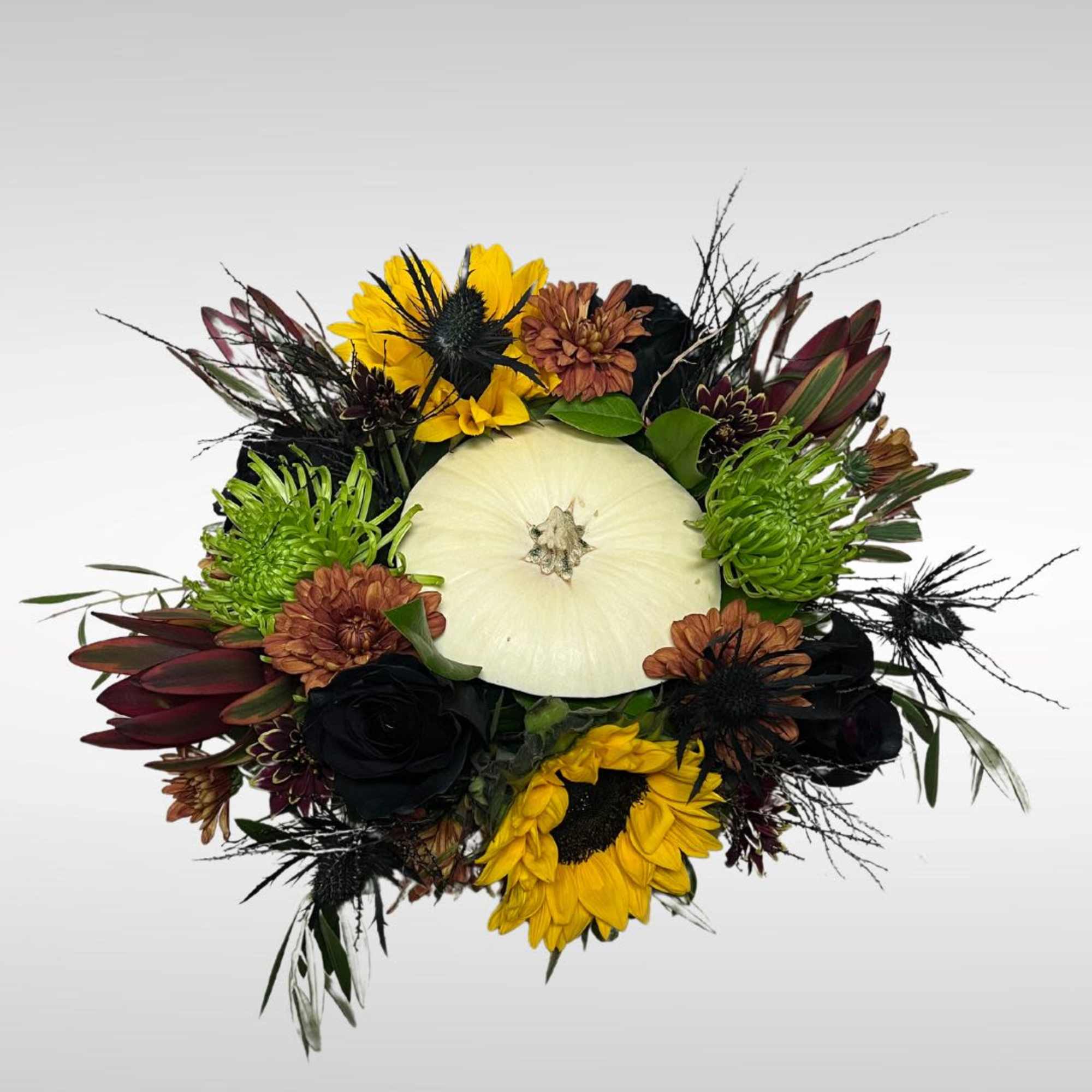 Recipe: Sunflowers Fall Daisies, Black Roses, Green Fuji Mums, Black Eryngium, Safari, photo 2 of 4