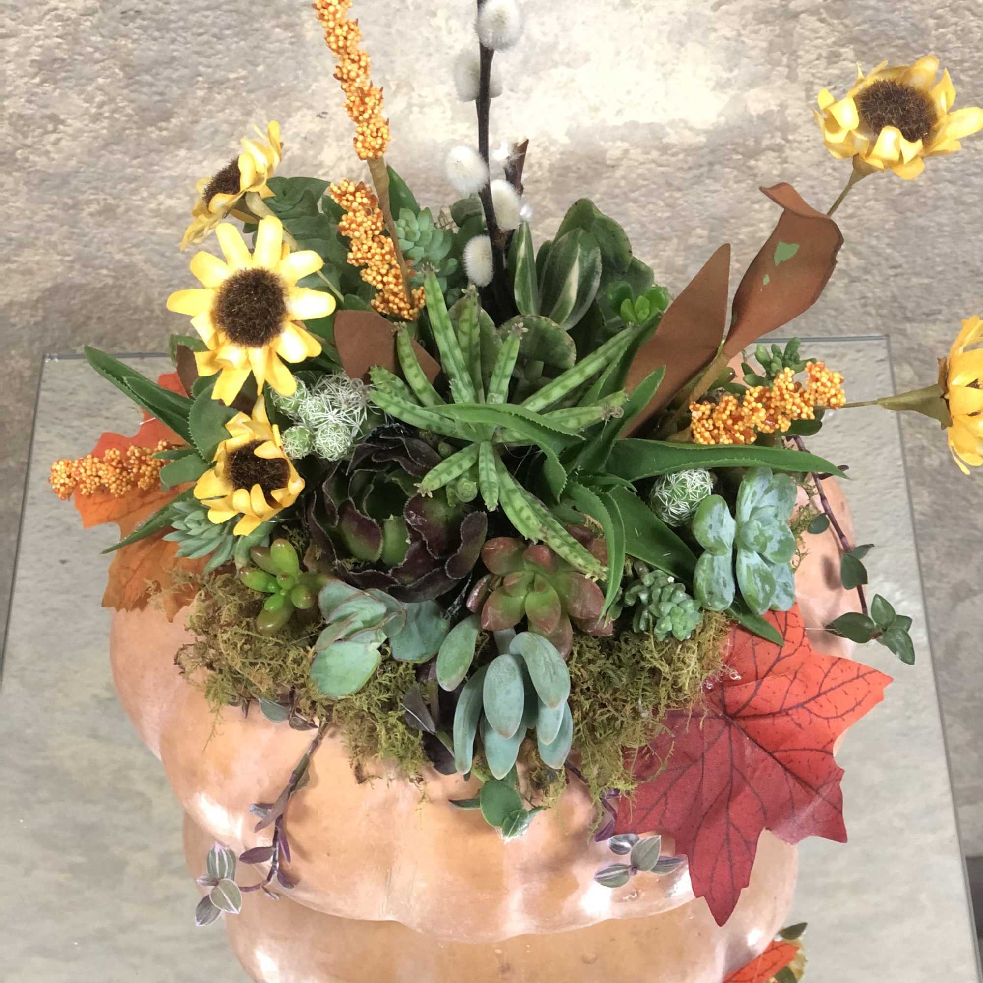 Live pumpkin centerpiece with silk flowers.  Place inside on a table, photo 2 of 3