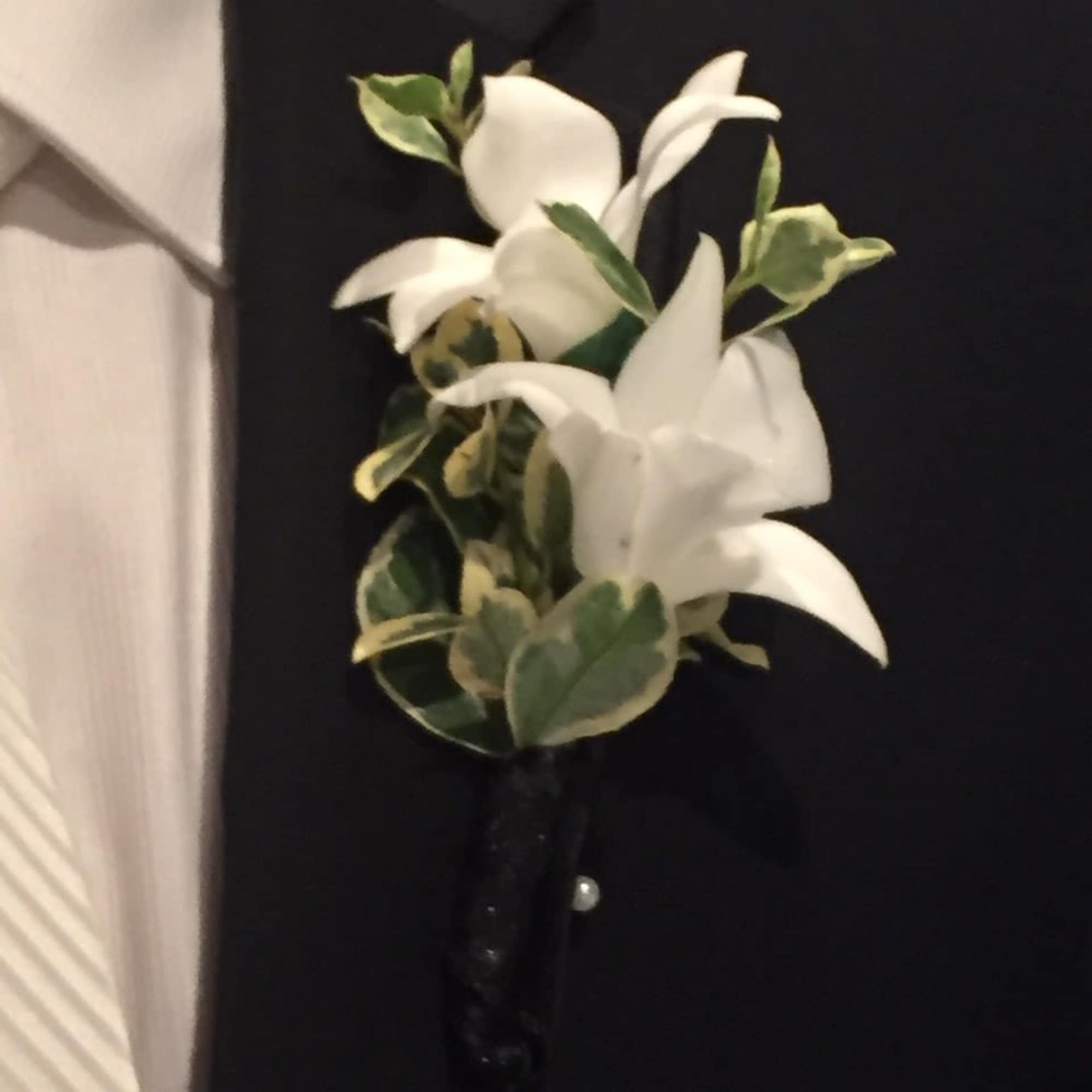 White boutonniere with green variegated leaves on a black suit lapel
