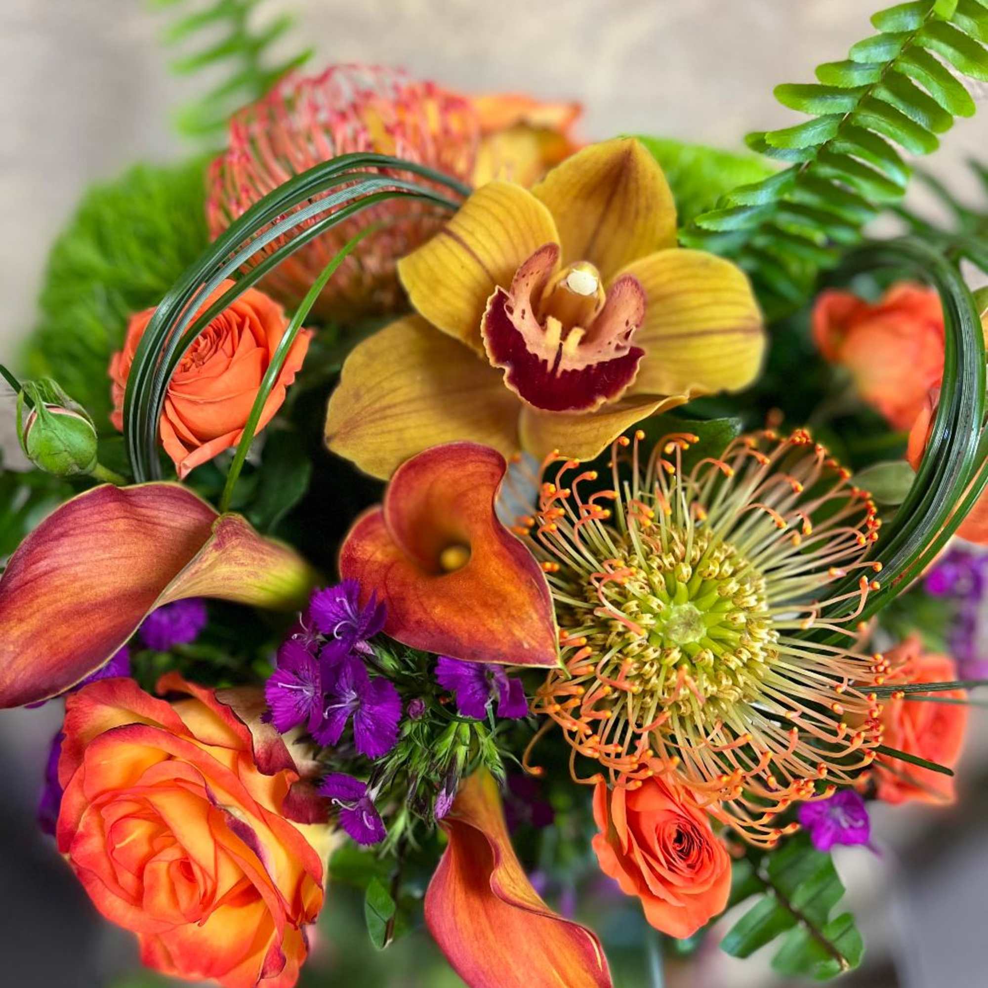 Recipe: Cymbidium Orchid, Orange Protea, Orange tipped Roses, Calla Lilies, Sweet Williams, photo 2 of 2