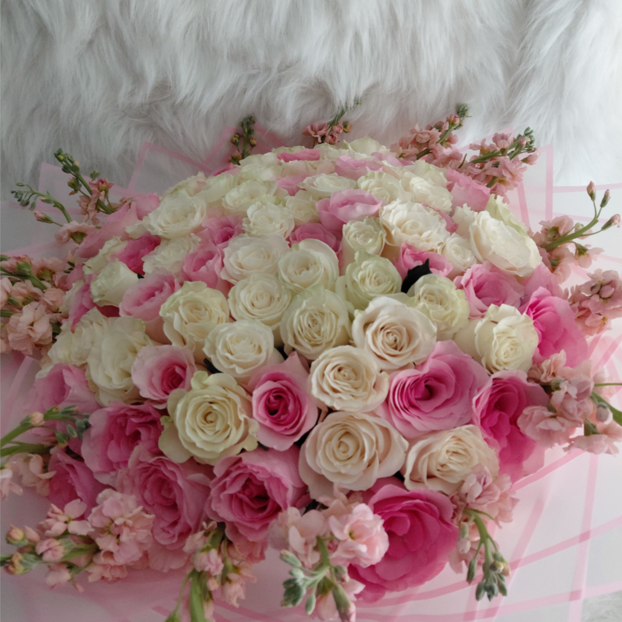 Rosas rosa y blanca y stock un ramo de rosas muy hermoso
