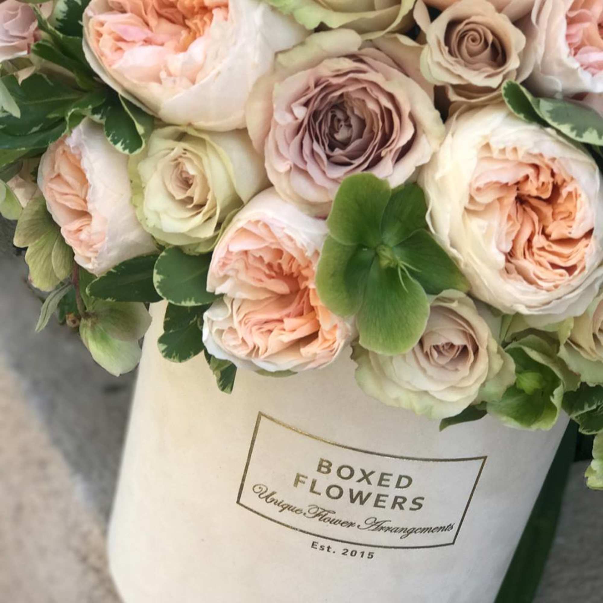 Pastel roses arranged in a white box with greenery