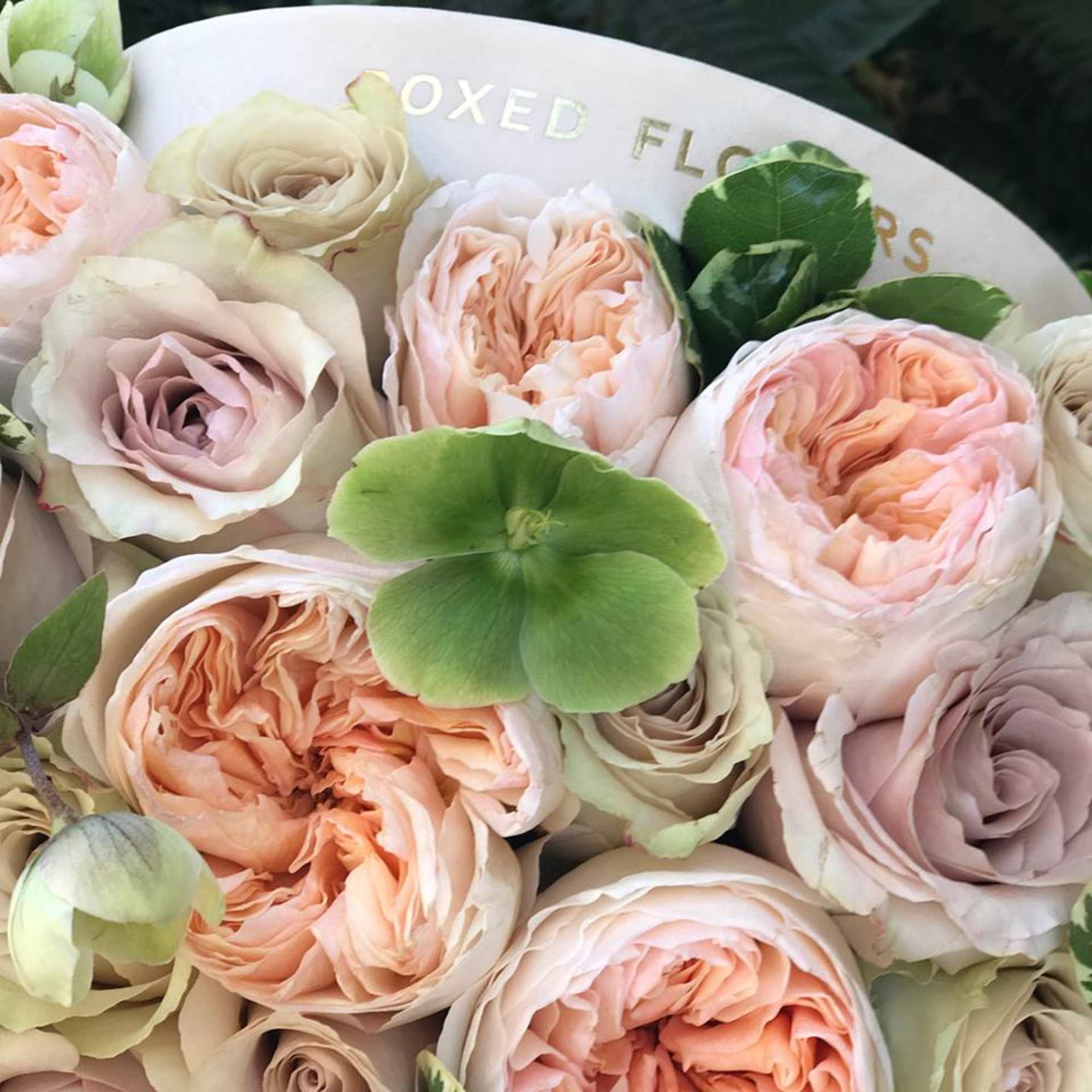 Bouquet of blush and cream roses with green accents