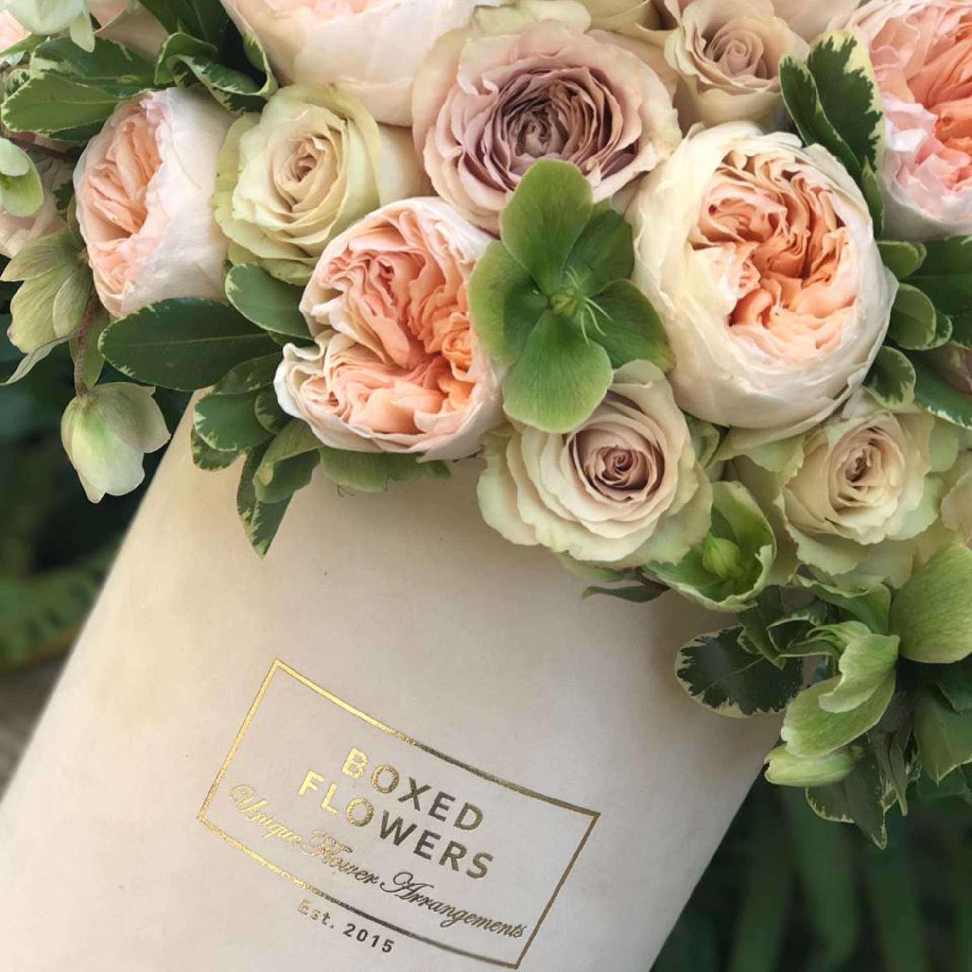 Boxed bouquet of blush and cream roses with green accents
