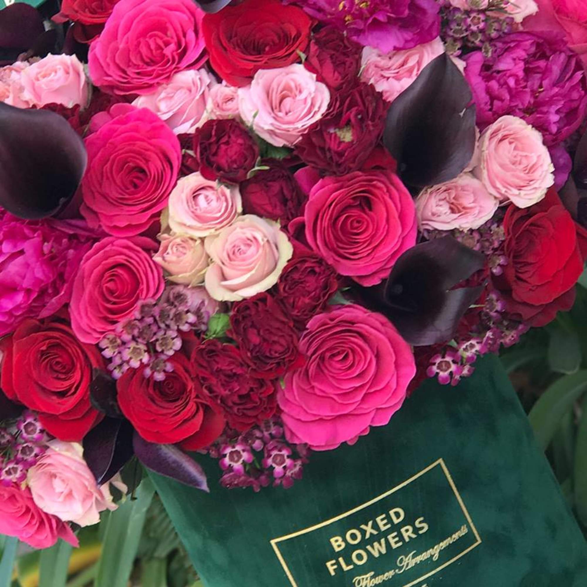 Bouquet of pink and red roses with dark calla lilies in a green box