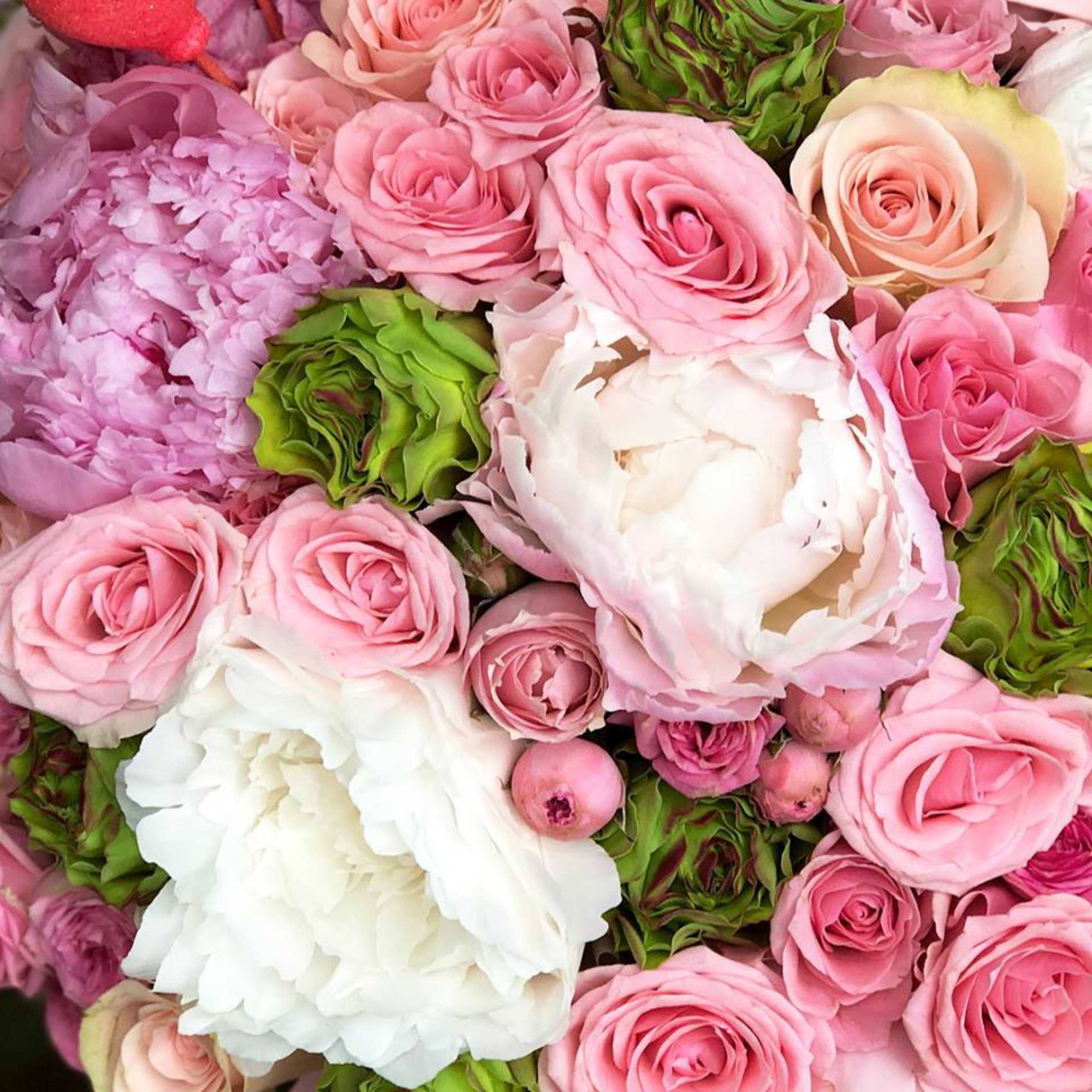 Close-up bouquet of pink and white roses with peonies and green blooms