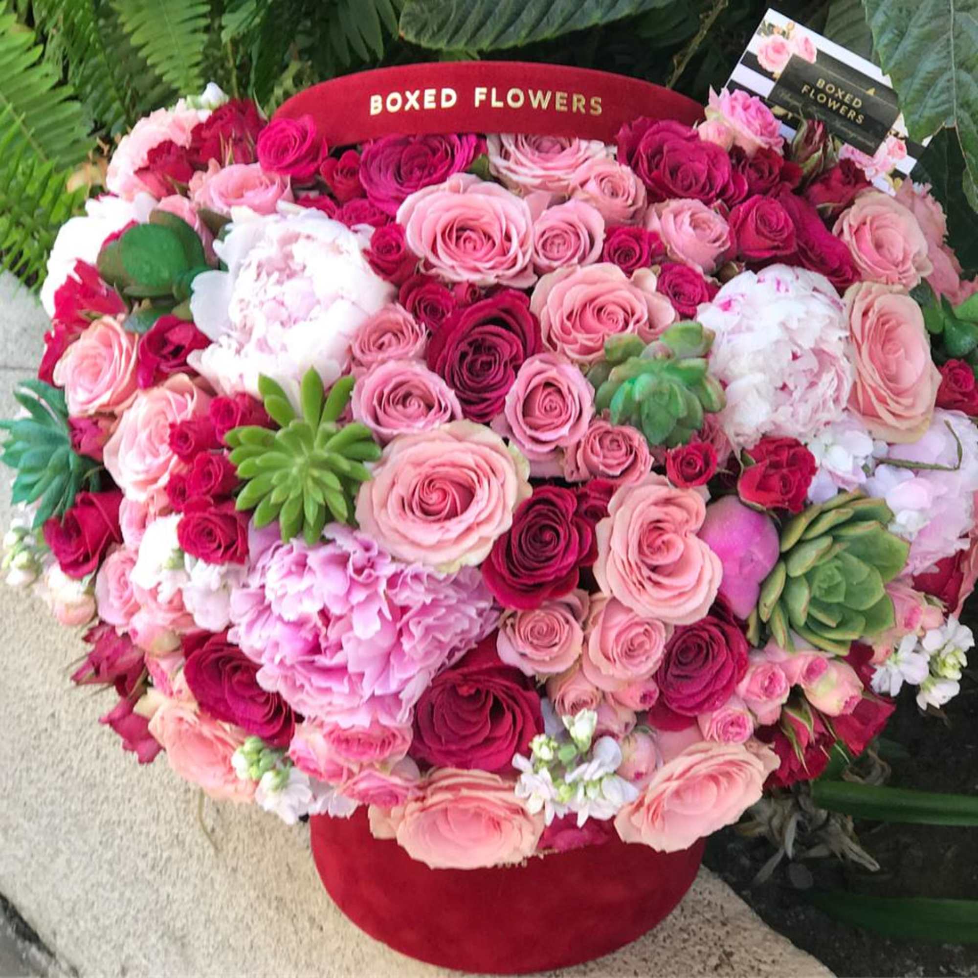 Round box of pink and red roses with hydrangeas and succulents