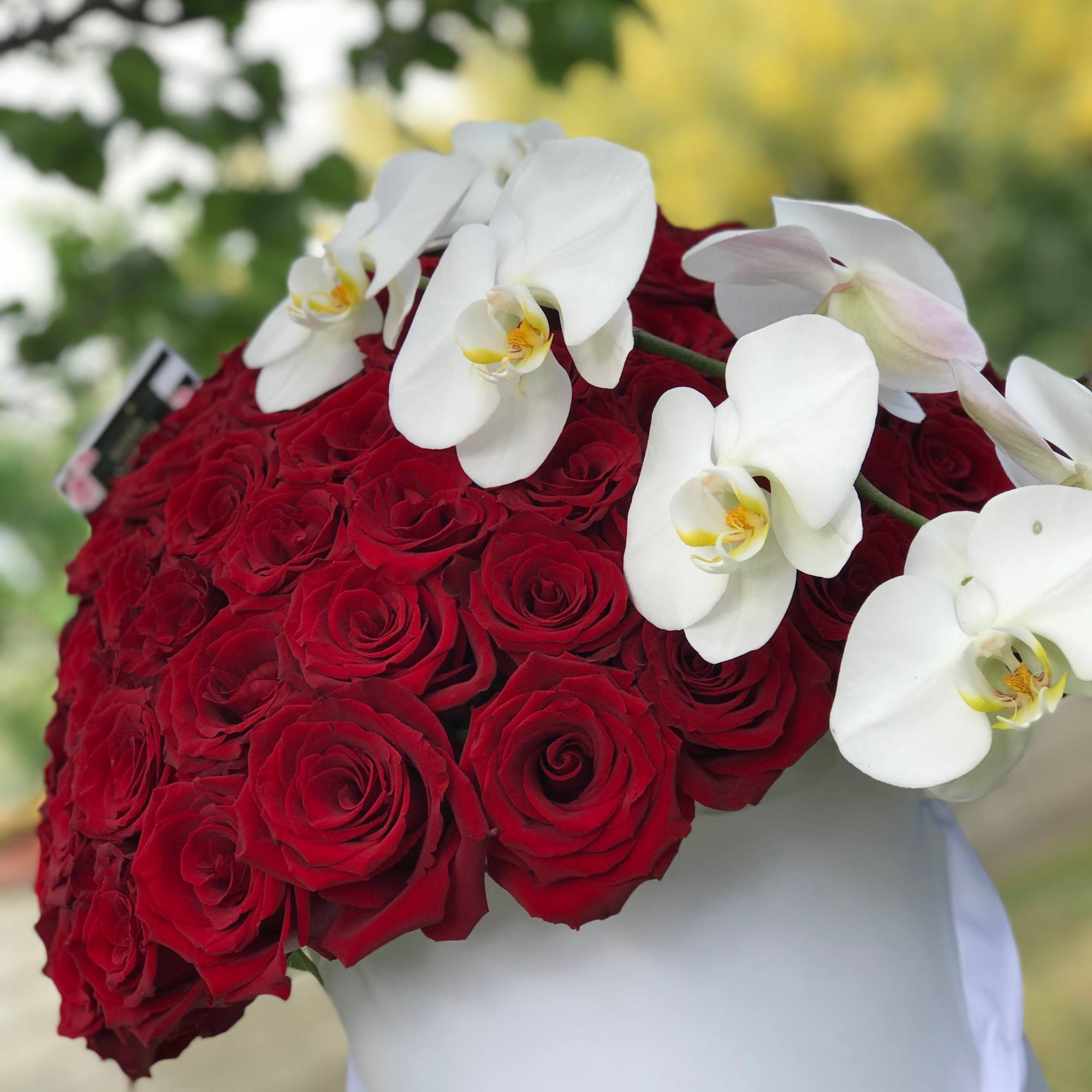 Bouquet of red roses with white orchids in a white wrap