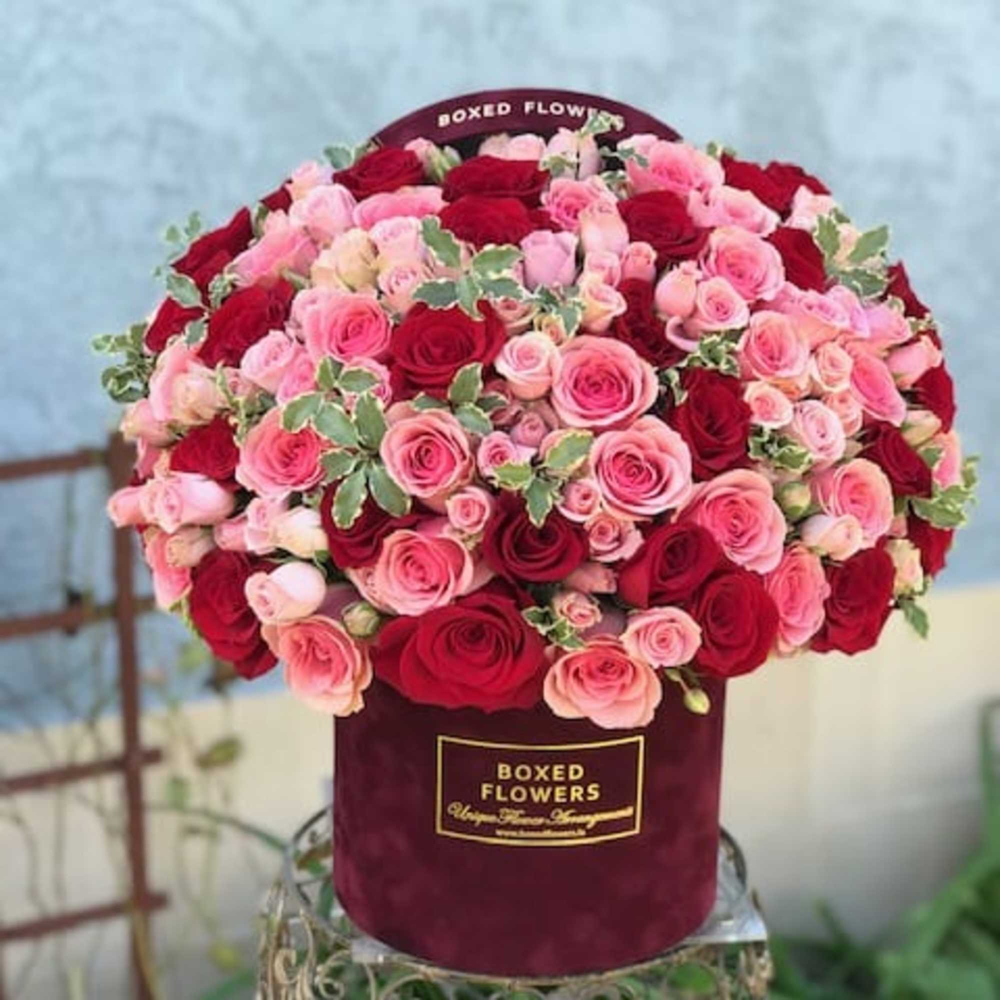 Make someones day extra special by sending them this gorgeous box. Full