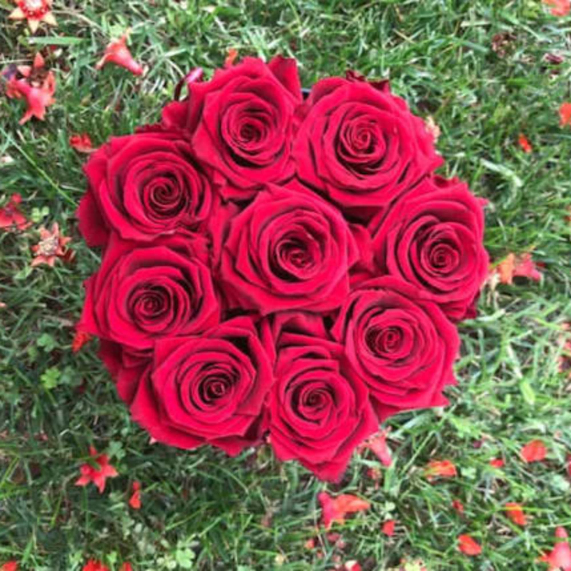 Cluster of red roses arranged in a tight round bouquet