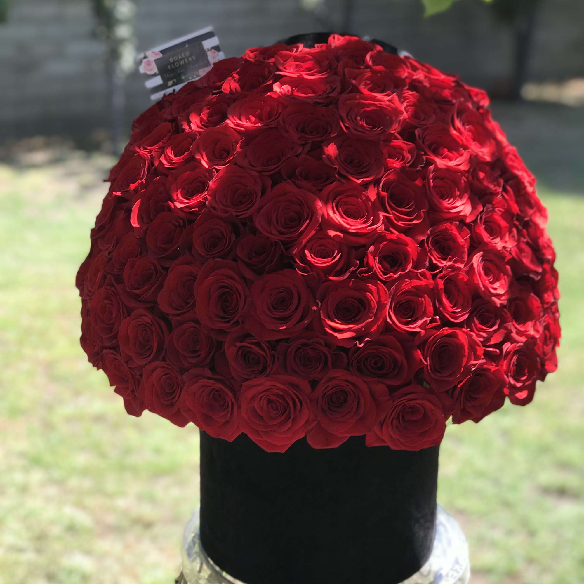 Large dome of red roses in a black hatbox, photo 2 of 3