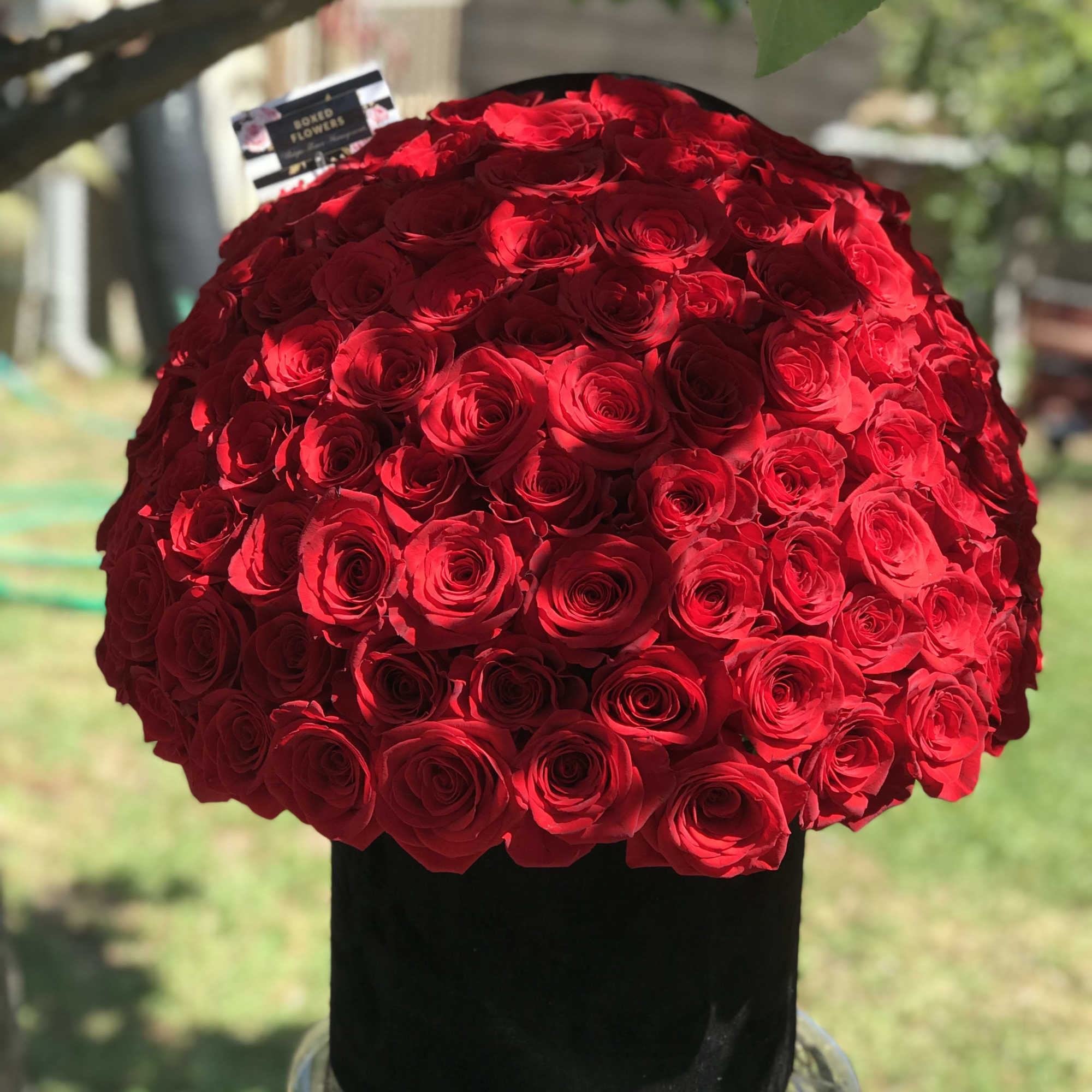 Large dome of red roses in a black hatbox, photo 3 of 3