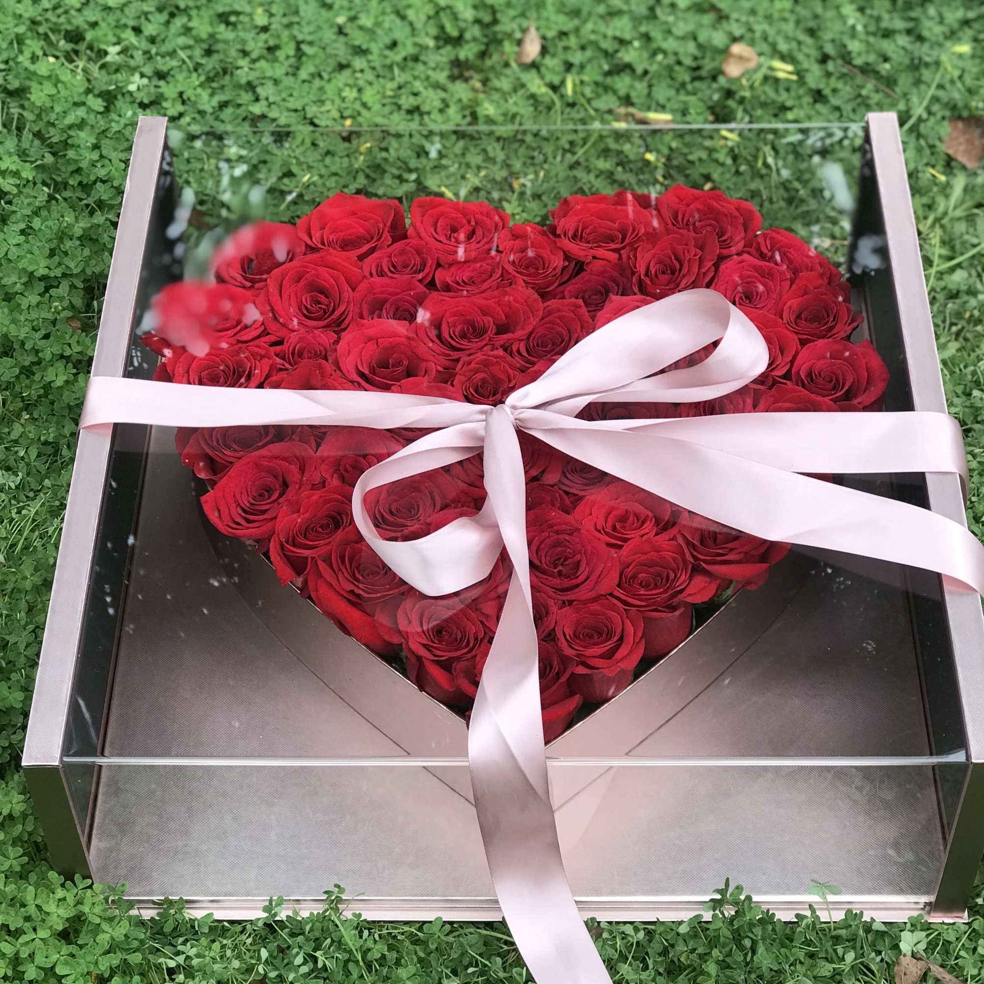 Heart-shaped box of red roses tied with a pink ribbon