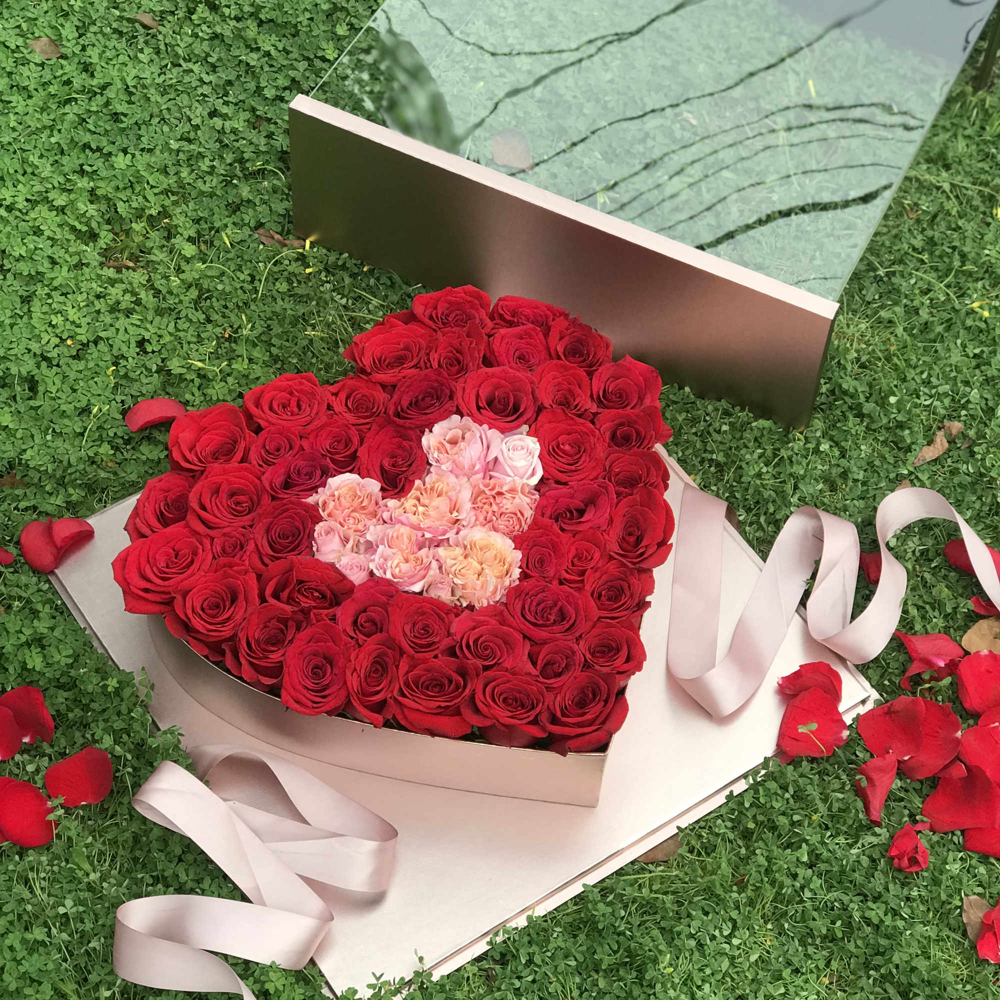 Heart-shaped box of red and pink roses with ribbon on grass