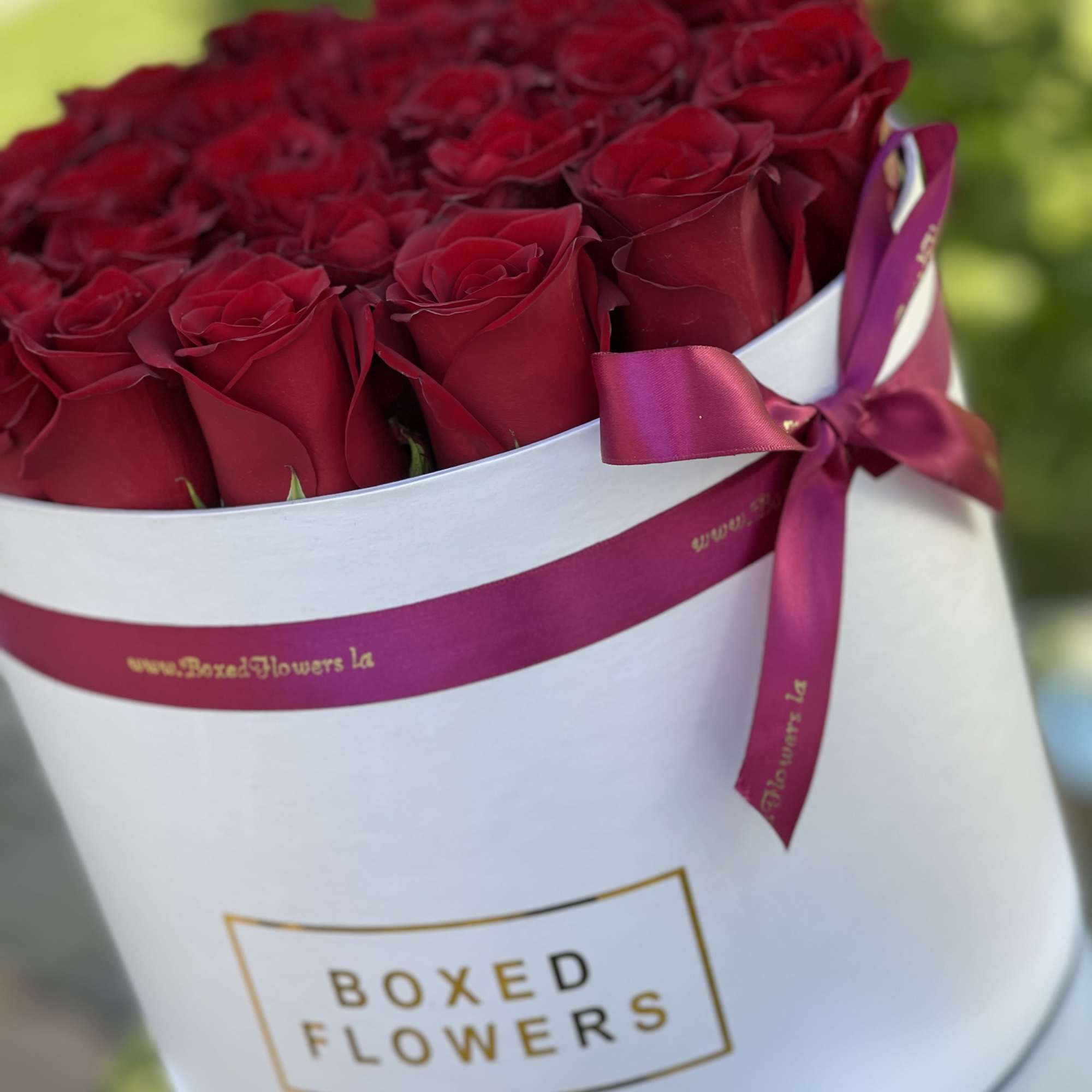 Boxed arrangement of deep red roses tied with a magenta ribbon