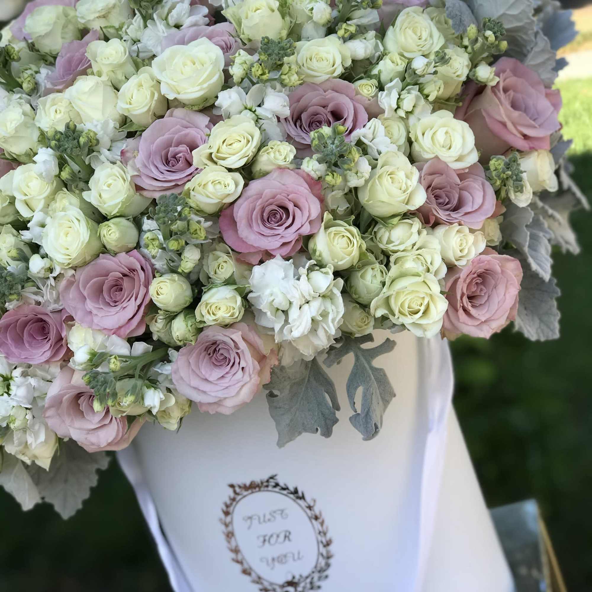 Bouquet of pink and white roses with gray foliage in a white box
