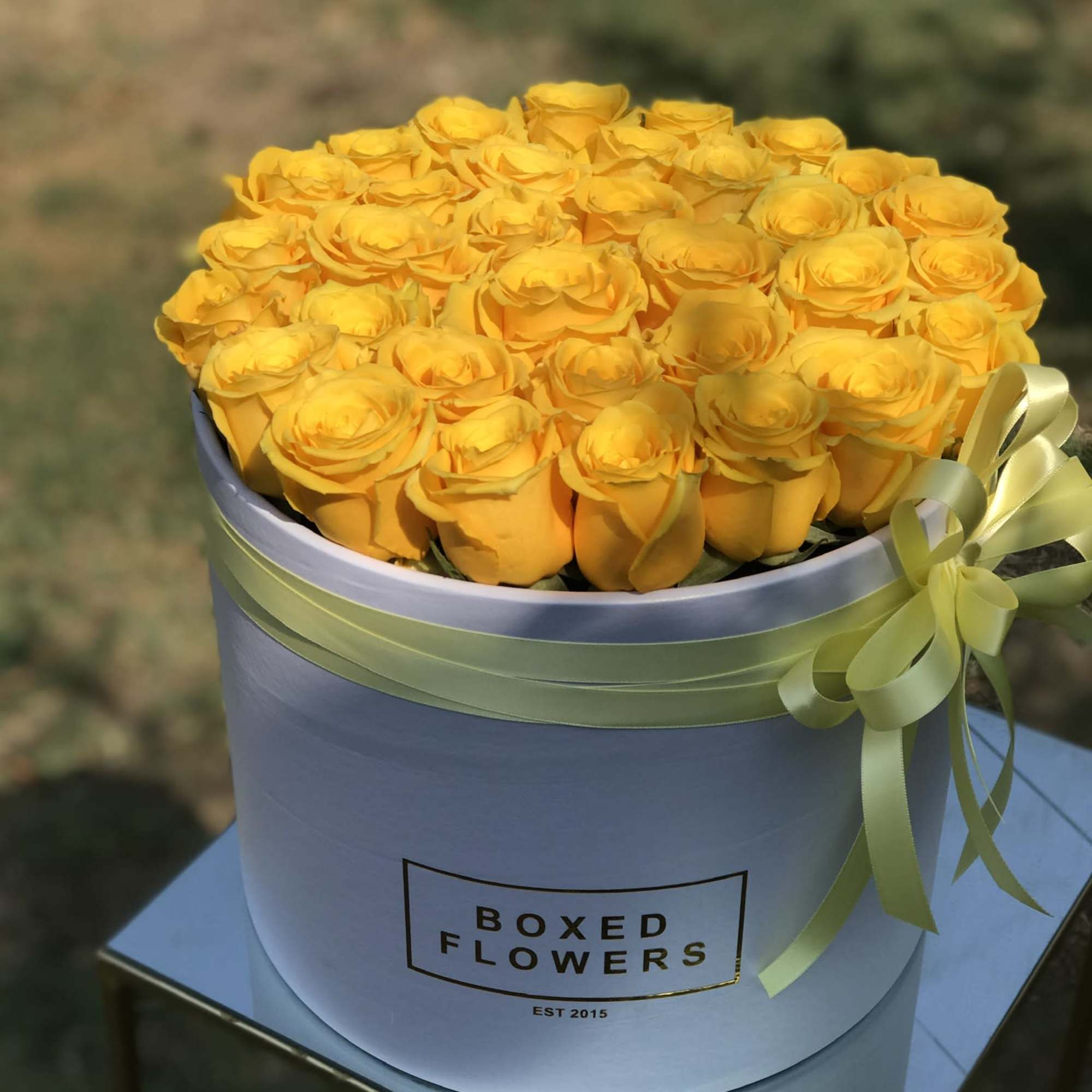 Yellow roses arranged in a round hatbox with a ribbon bow