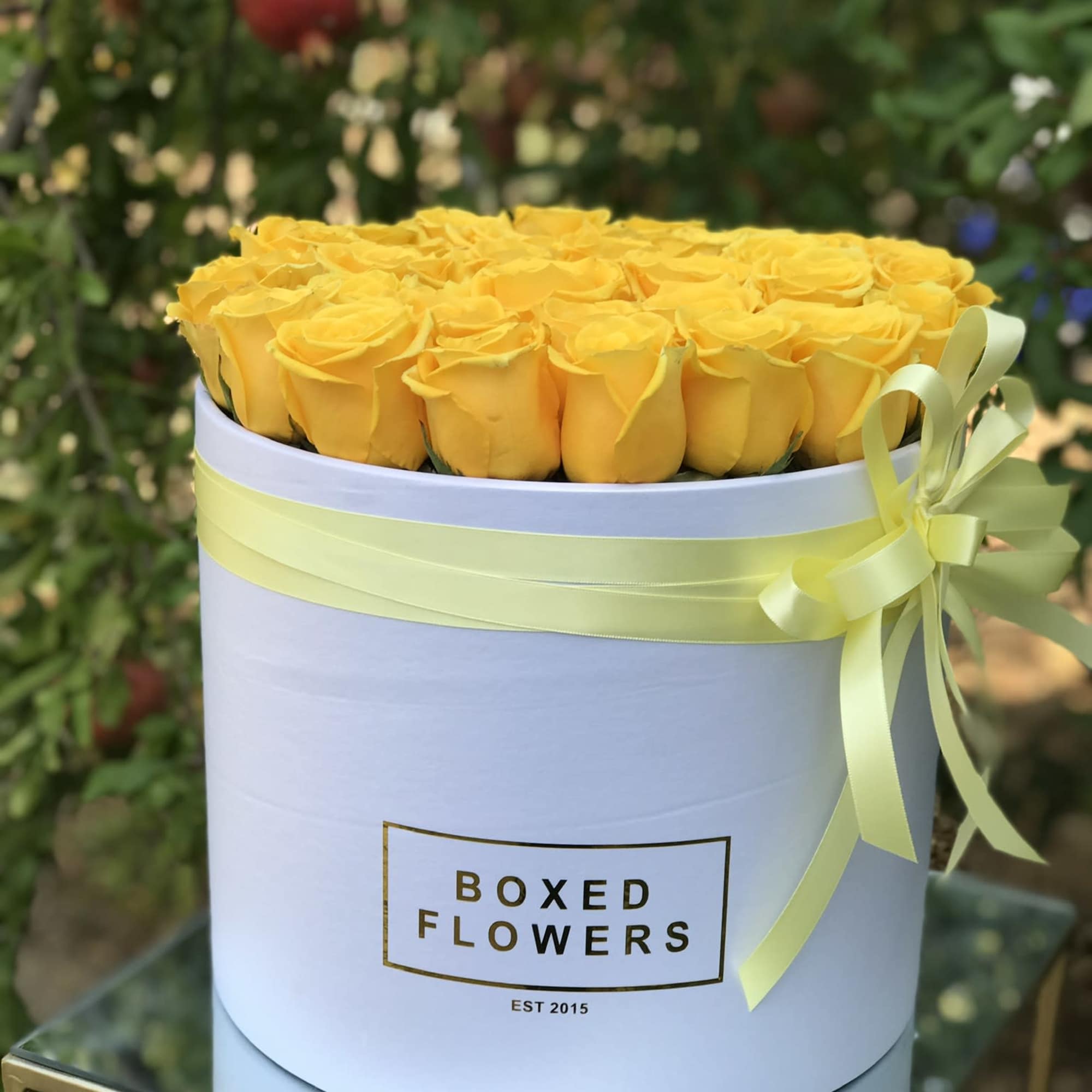 Boxed arrangement of yellow roses with a pale ribbon
