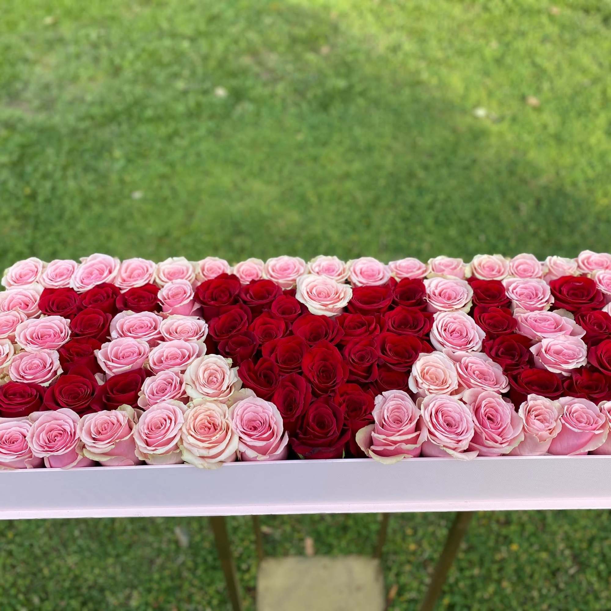 Rectangular arrangement of red and pink roses in a white box