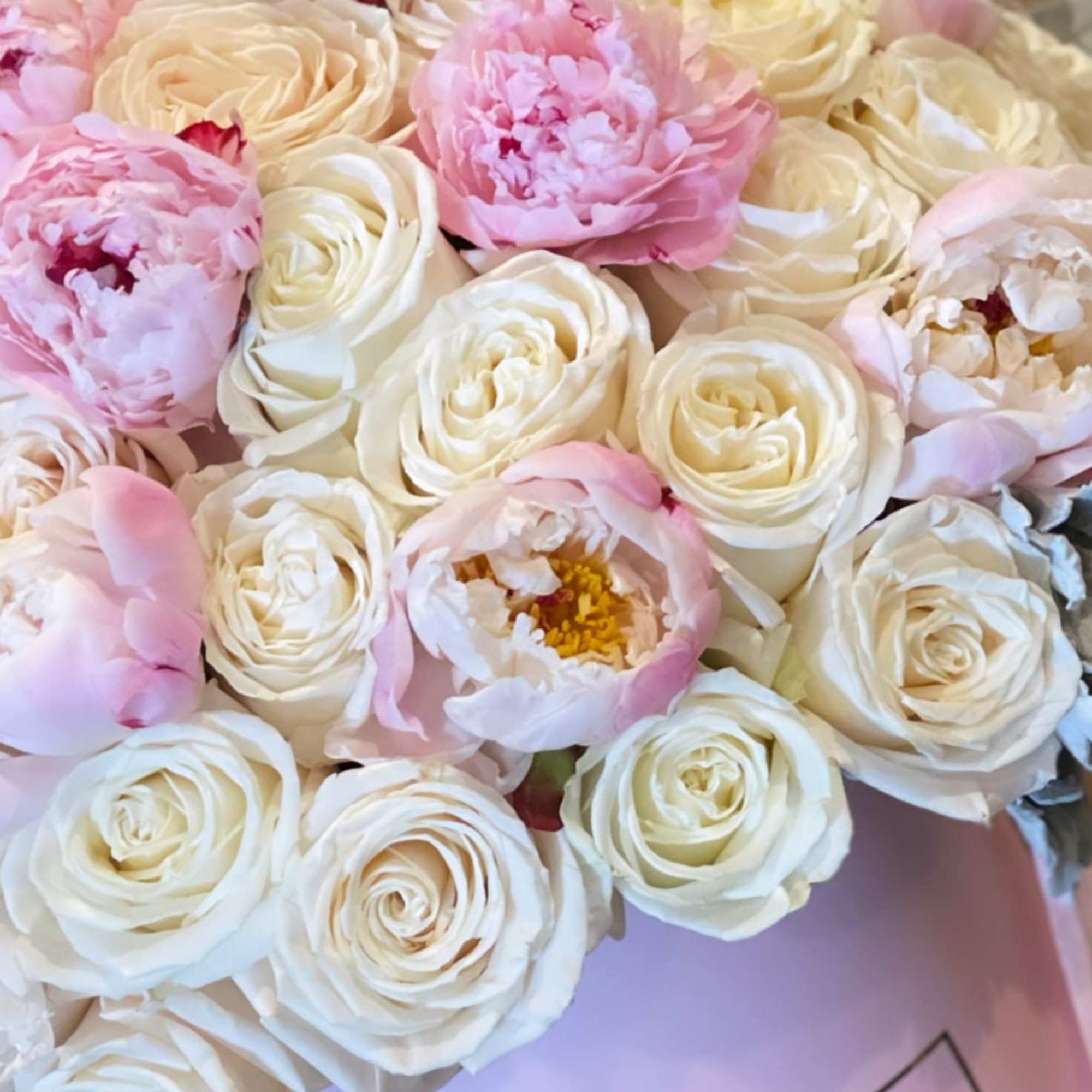 Bouquet of white and blush pink roses and peonies in pink wrap