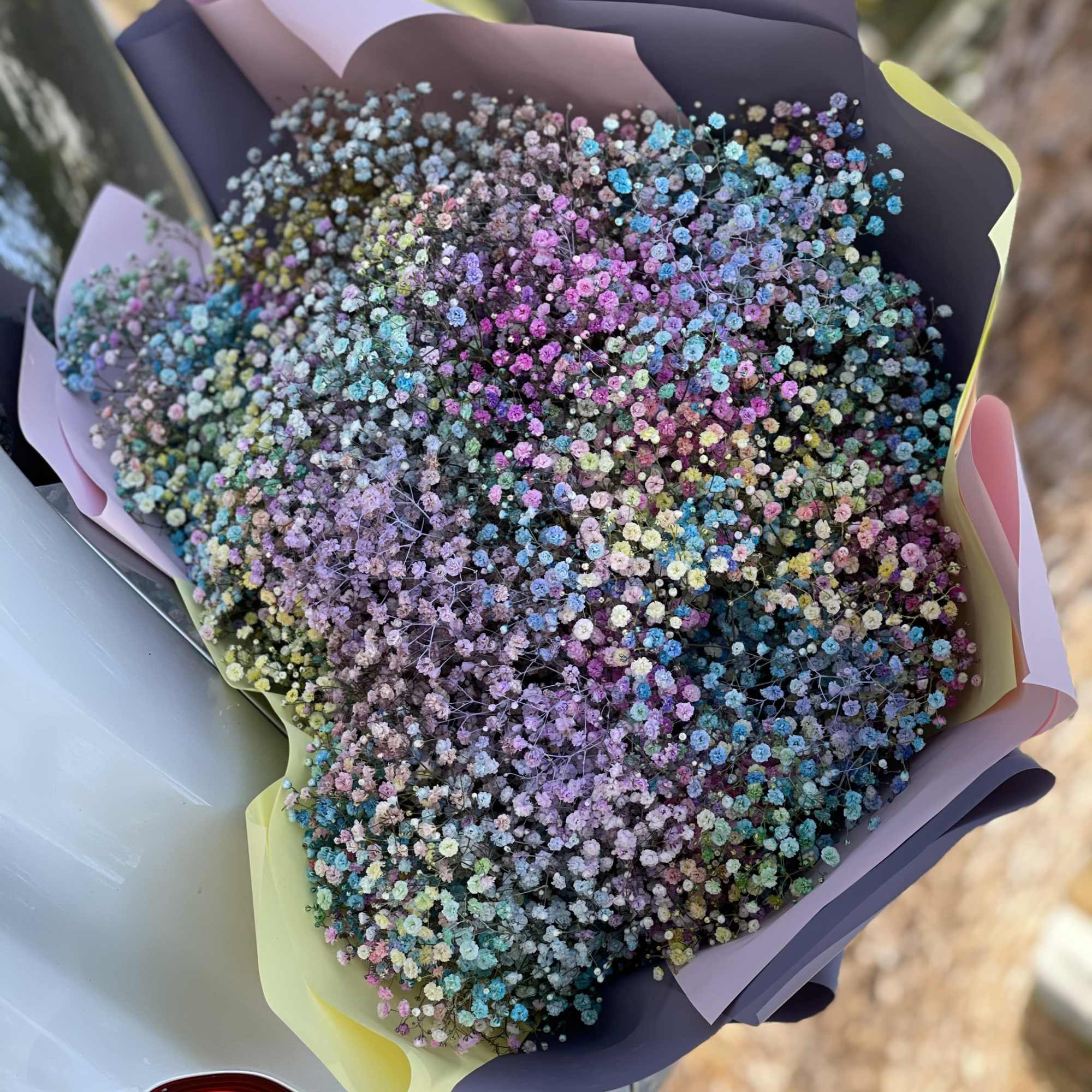 Large bouquet of multicolored baby's breath wrapped in pastel paper