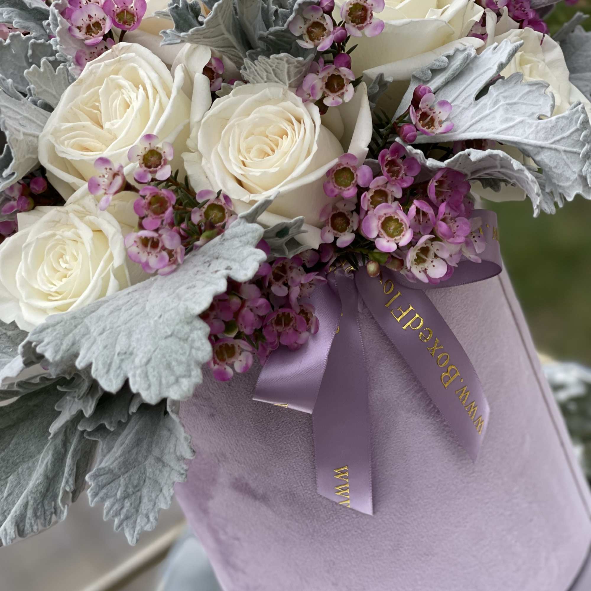 Lavander velvet box filled with &ldquo;dusty miller&rdquo; velvety leaves , white roses