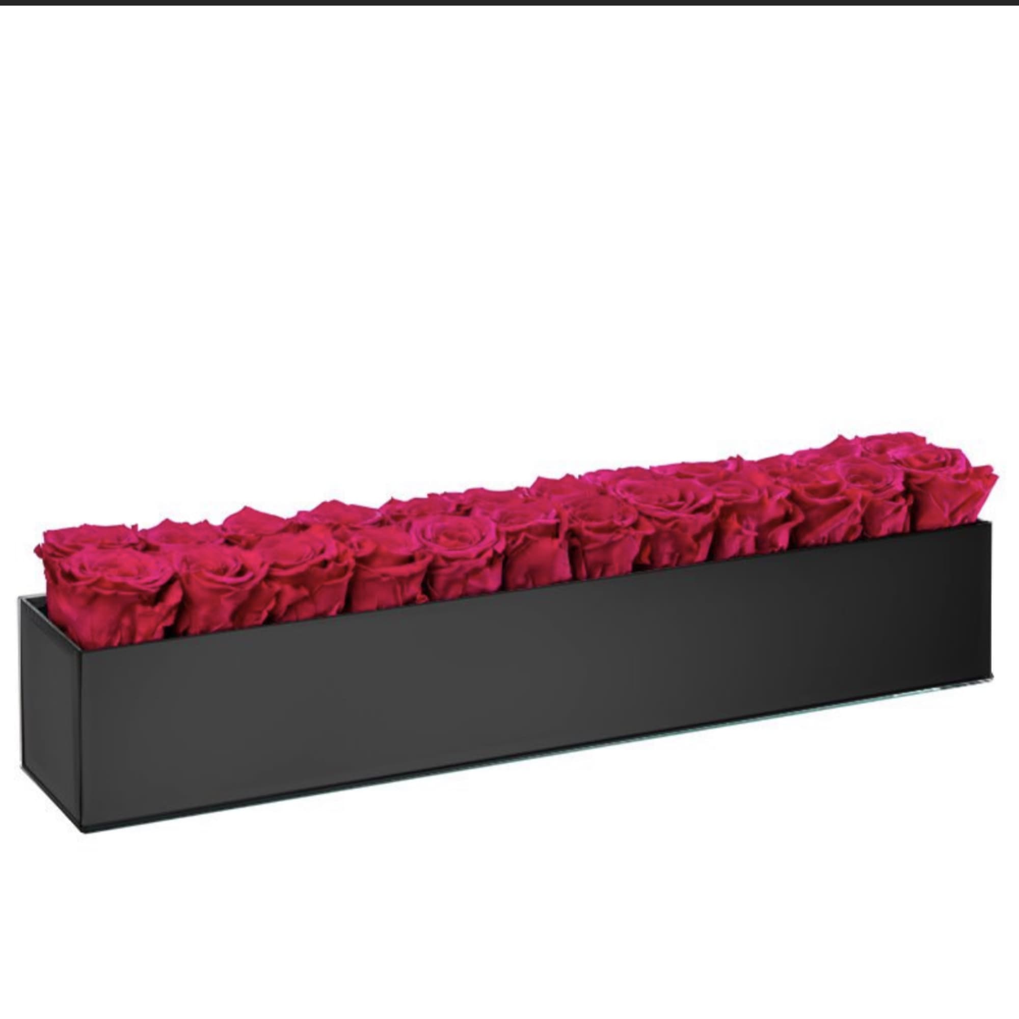 Long black box filled with hot pink roses