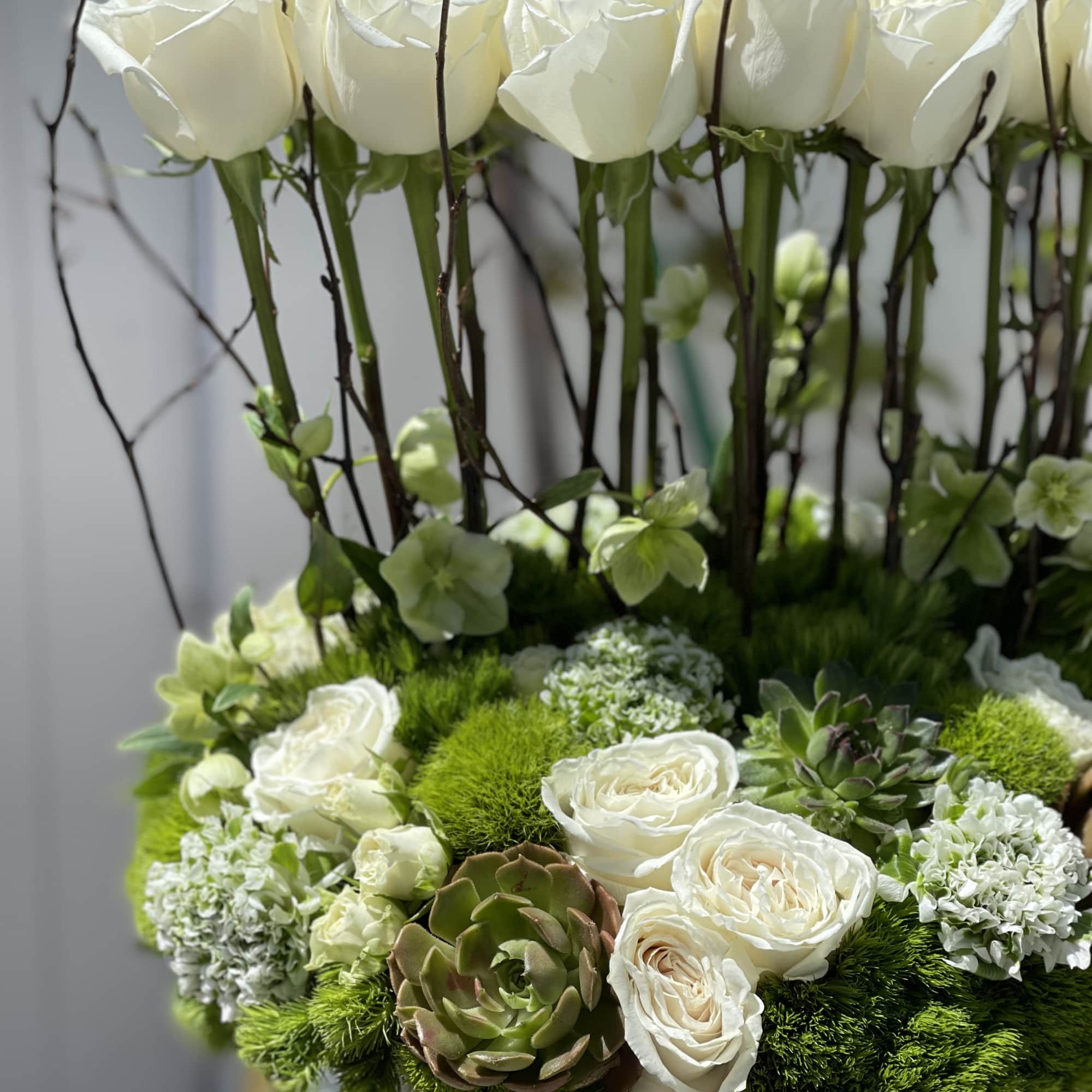 White roses and succulents arranged in a low gray container