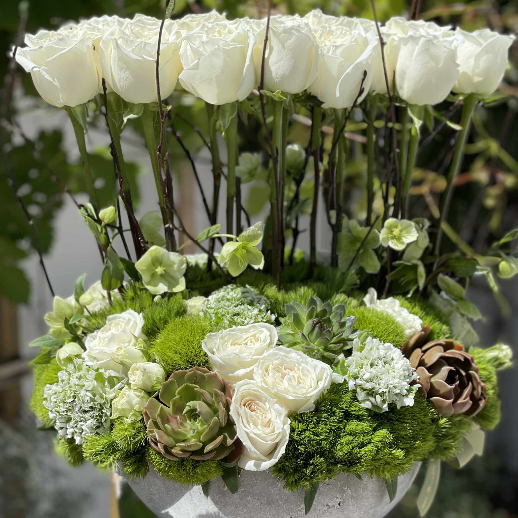 White roses and succulents arranged in a round gray bowl
