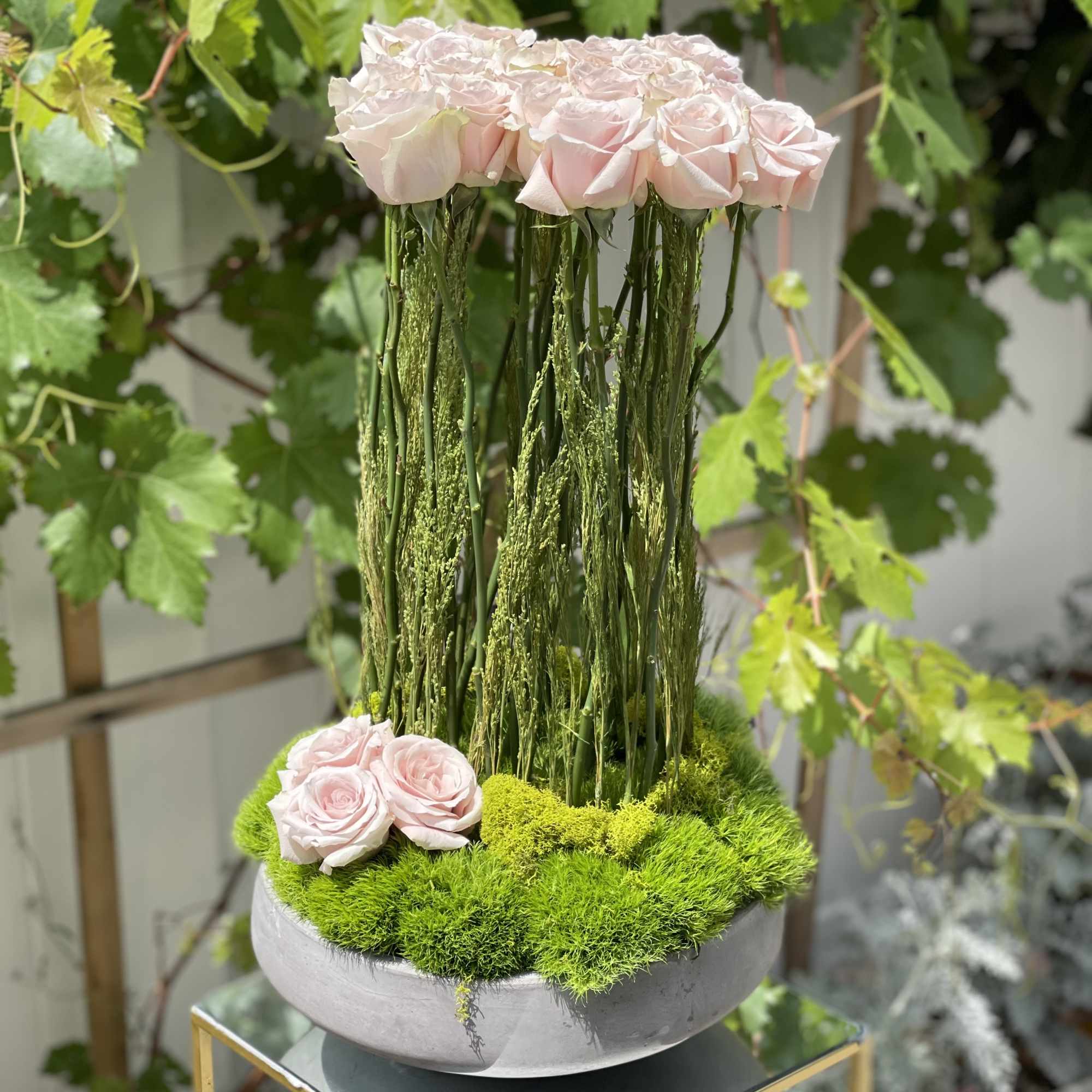 Modern cement vase with 25 sandy roses standing up, surrounded with green