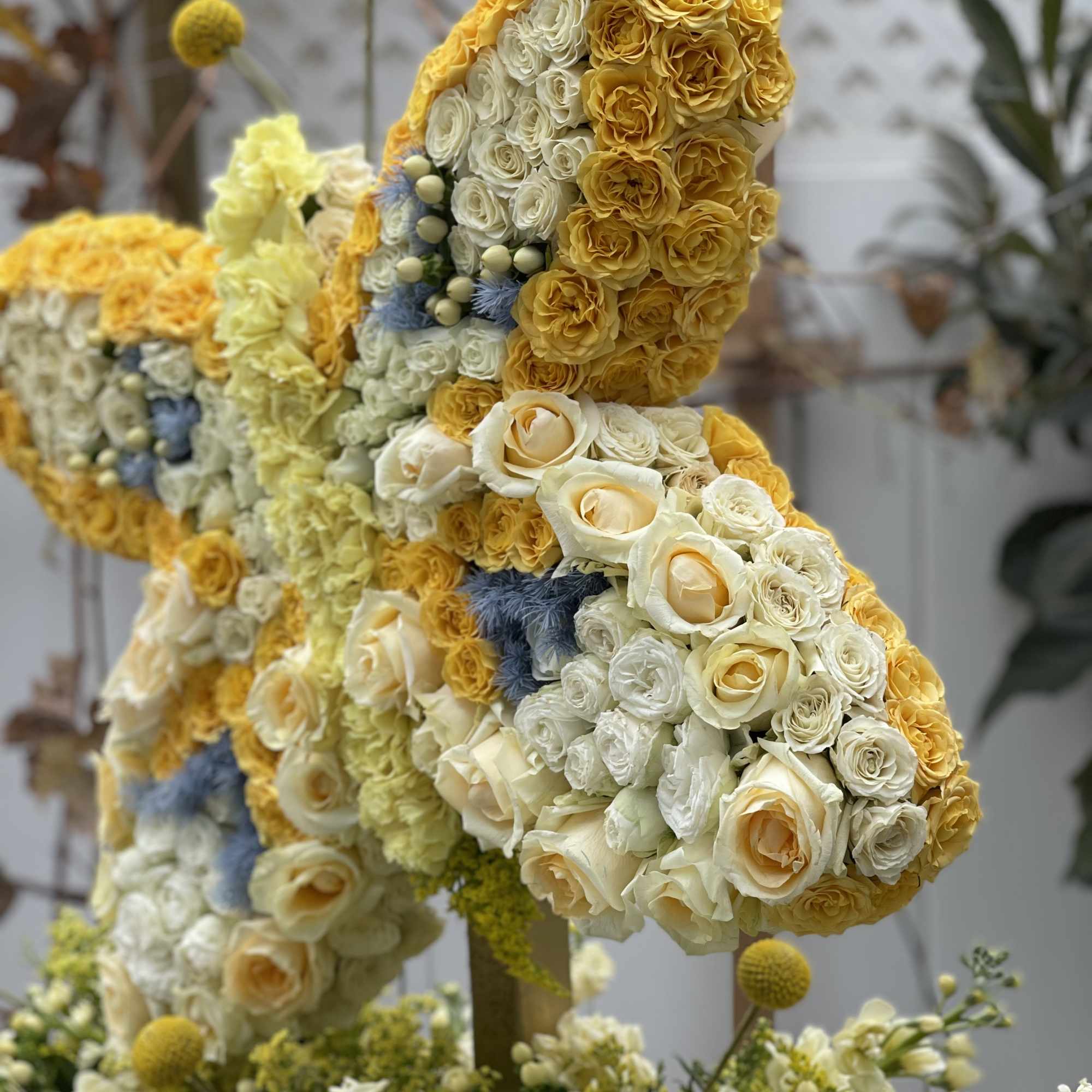 Butterfly-shaped floral sculpture made of yellow and white roses
