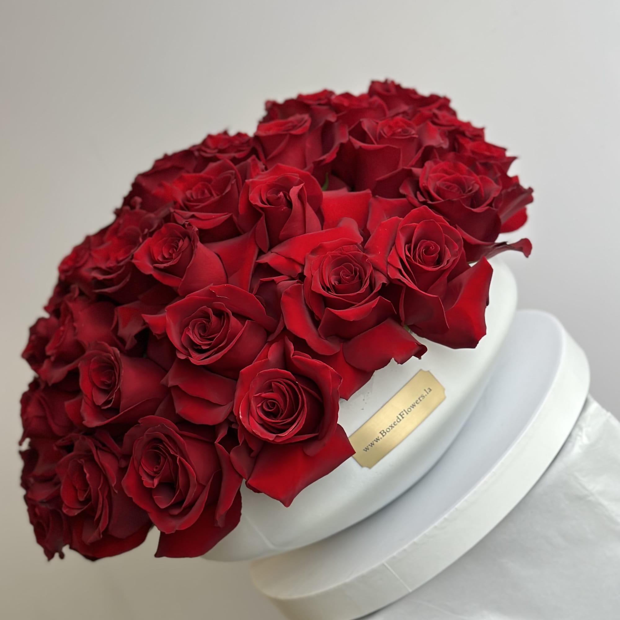 50 beautiful red roses nicely arranged in a white cement vase. 