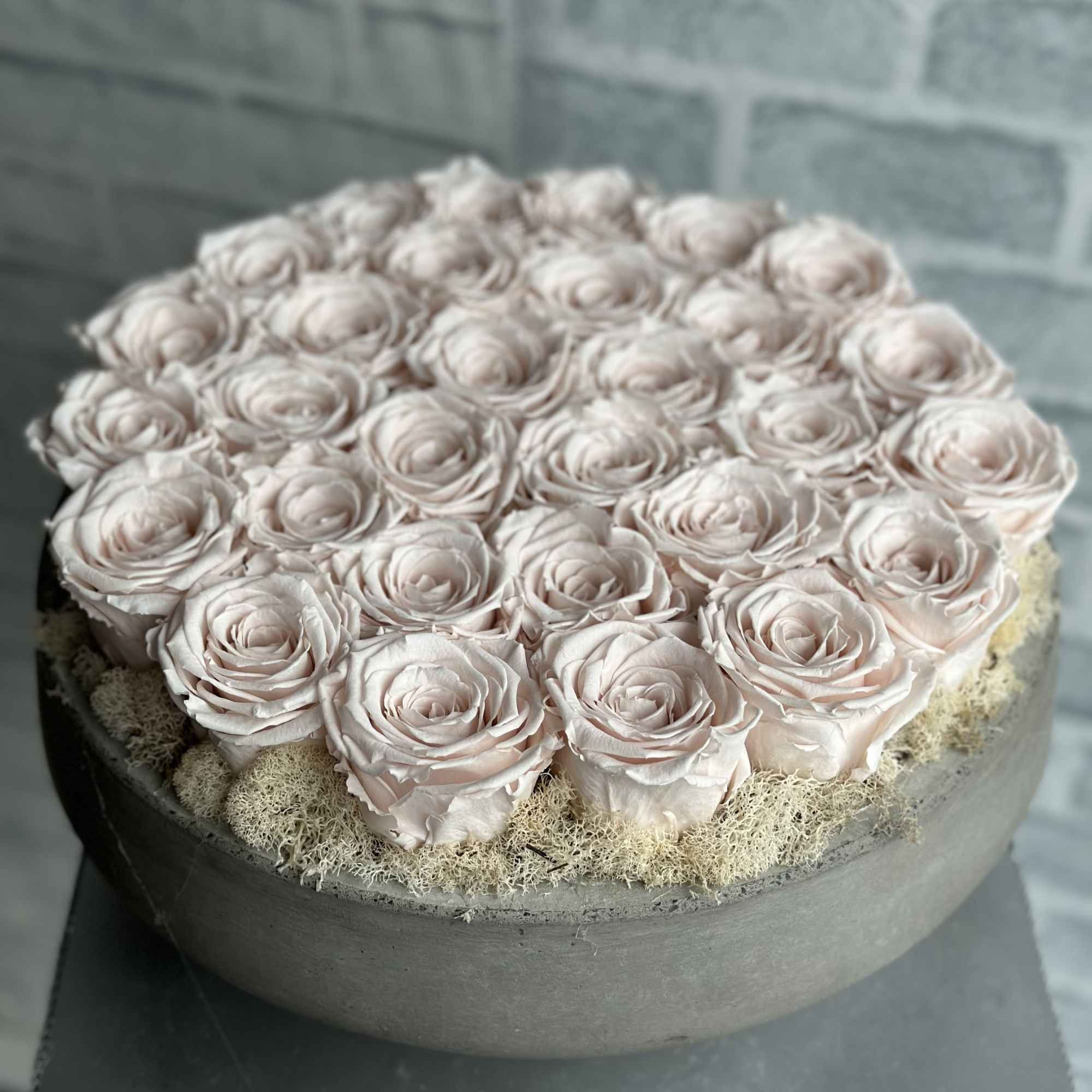 Rustic and elegant cement vase filled with 30 blush, everlasting roses. 