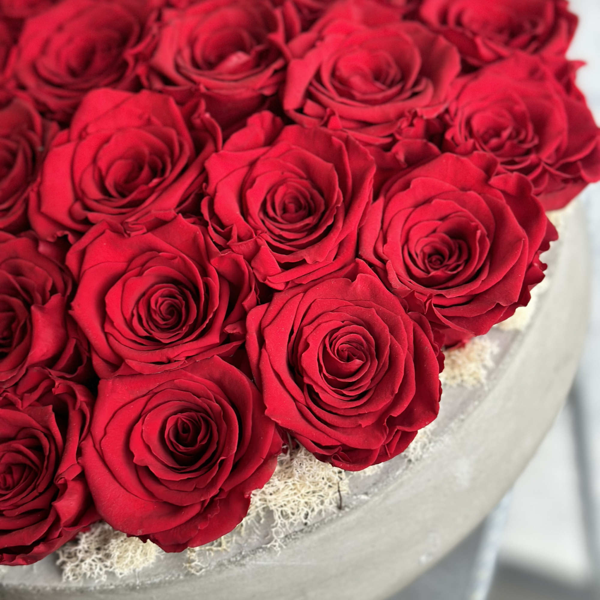 Round arrangement of red roses in a gray hat box