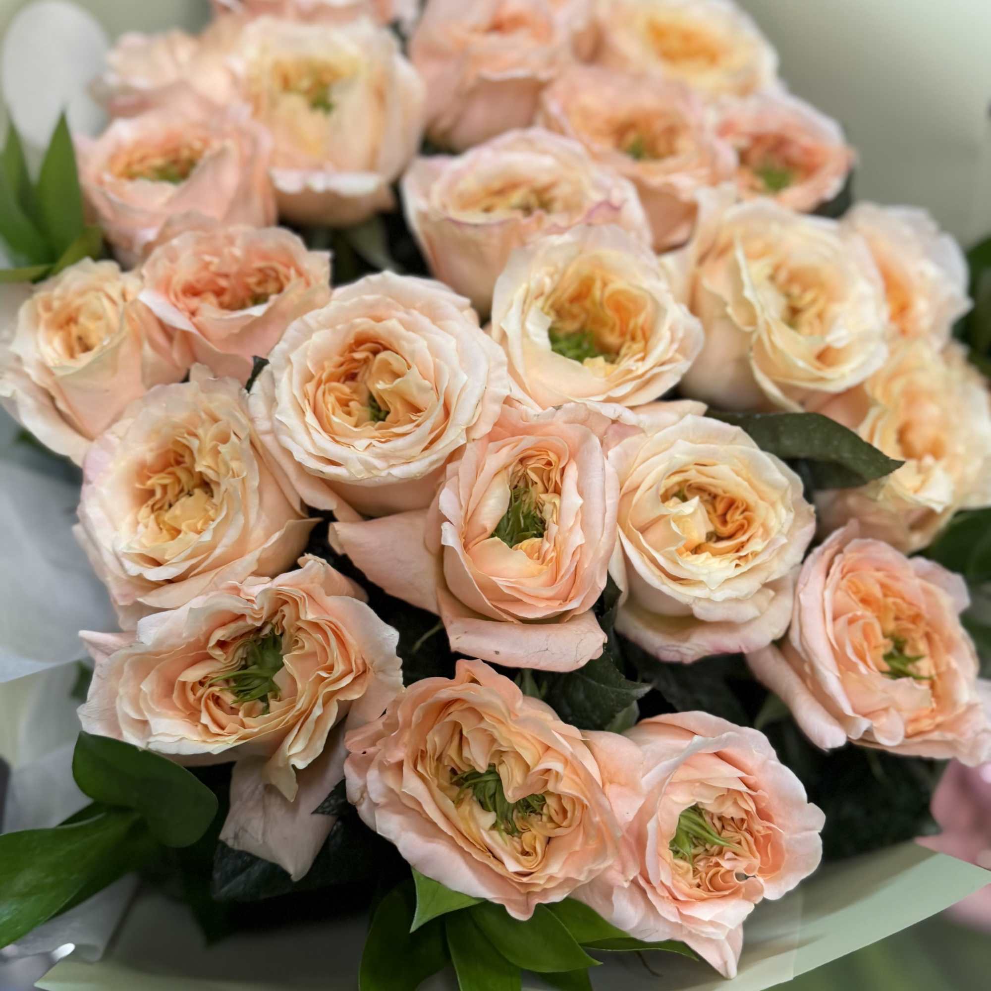 25 Mellon  expression garden roses beautifully wrapped in paper.