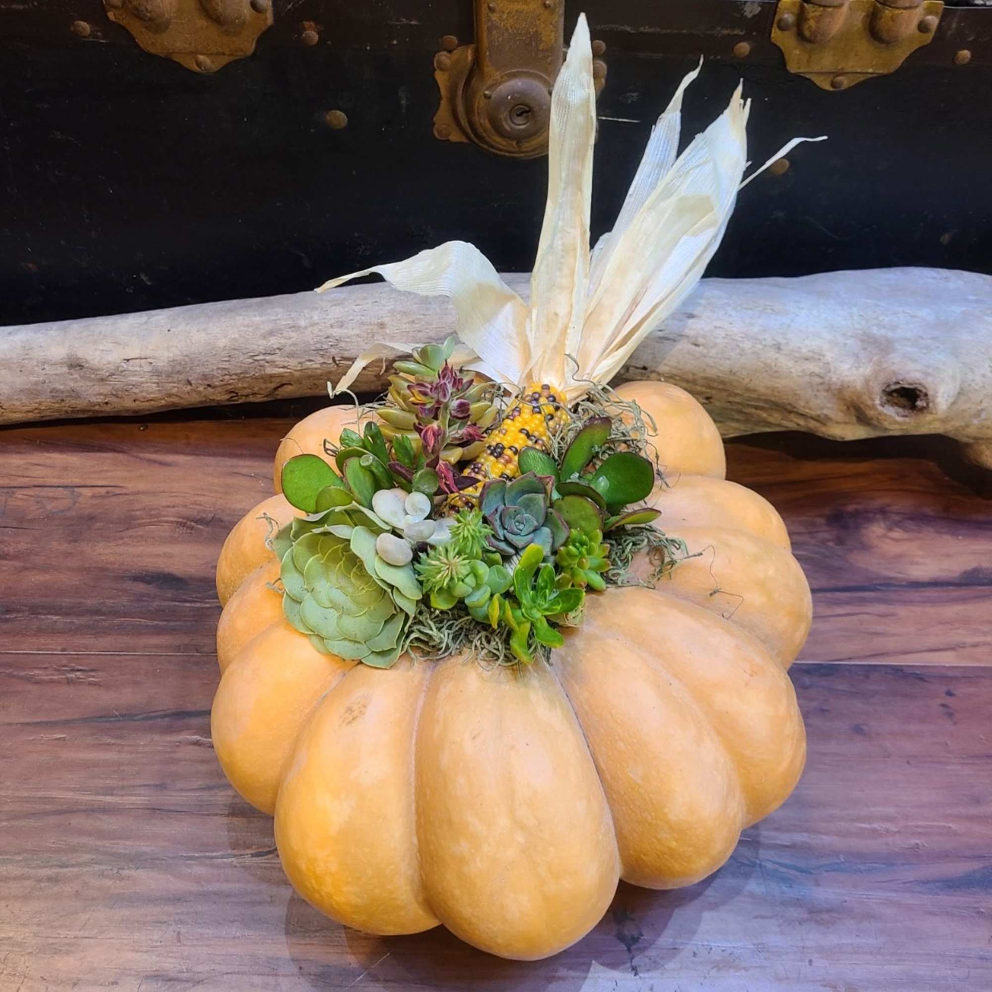 Pumpkin centerpiece with succulents and dried corn husks