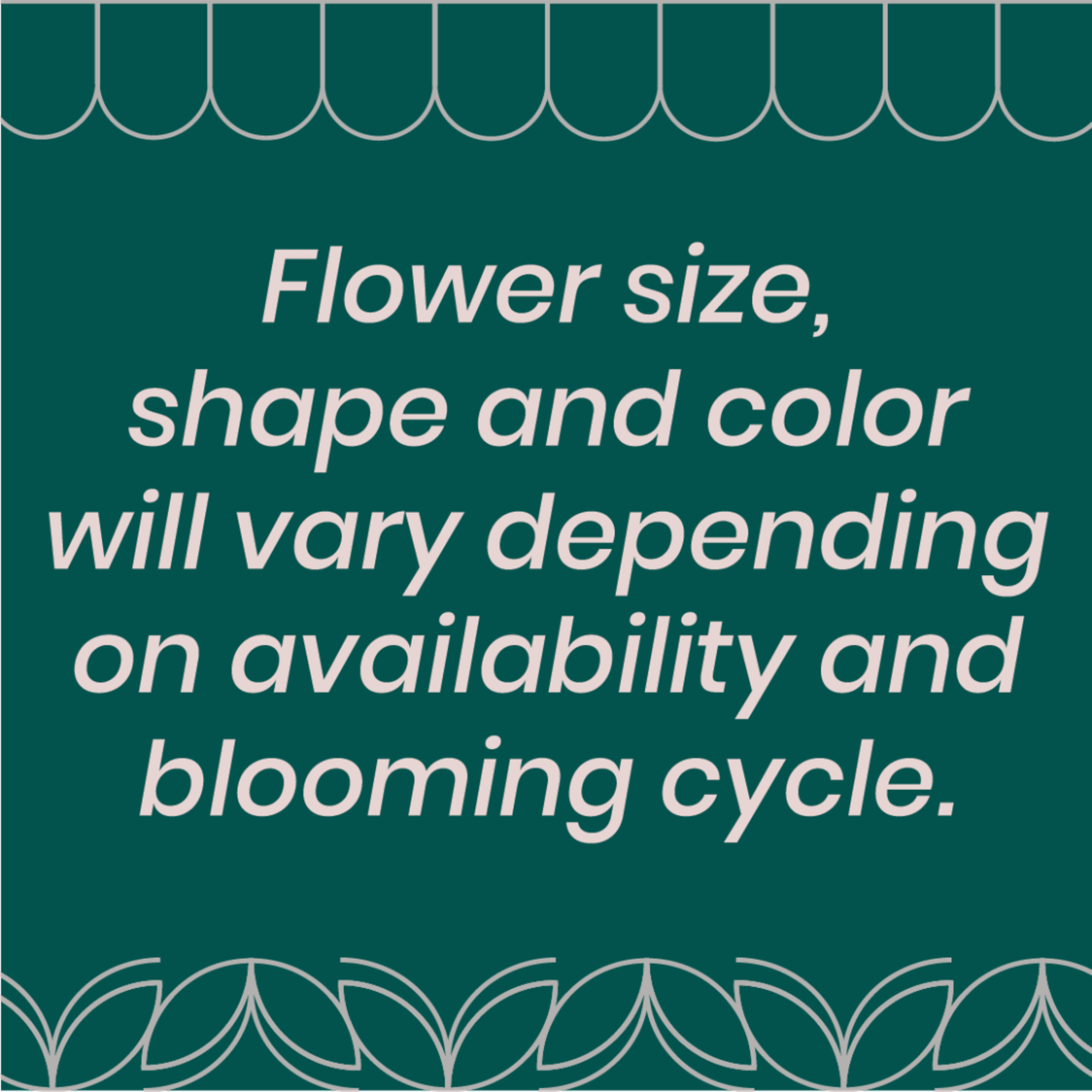 Text graphic on a teal background with a decorative border