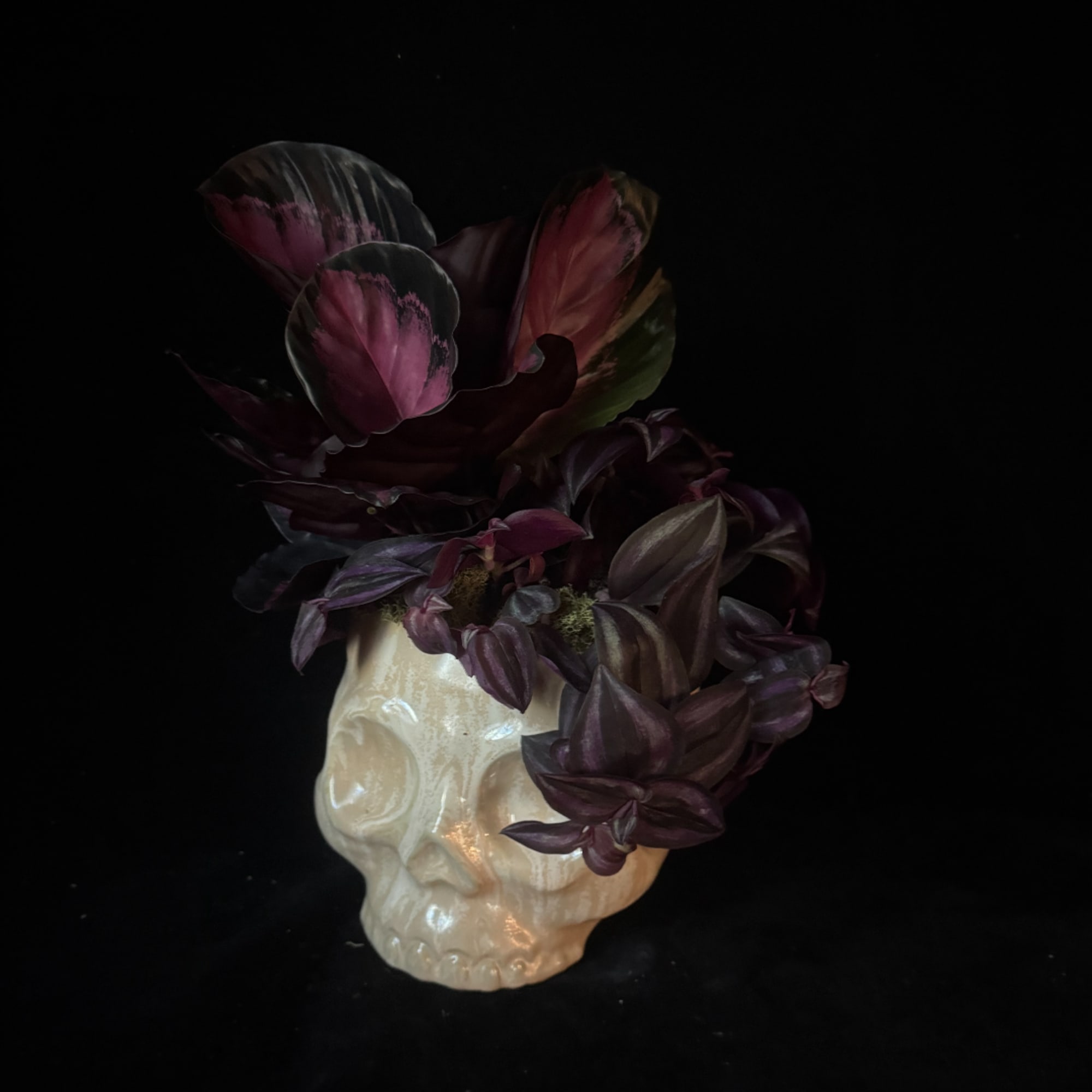 Purple foliage arranged in a cream skull-shaped vase