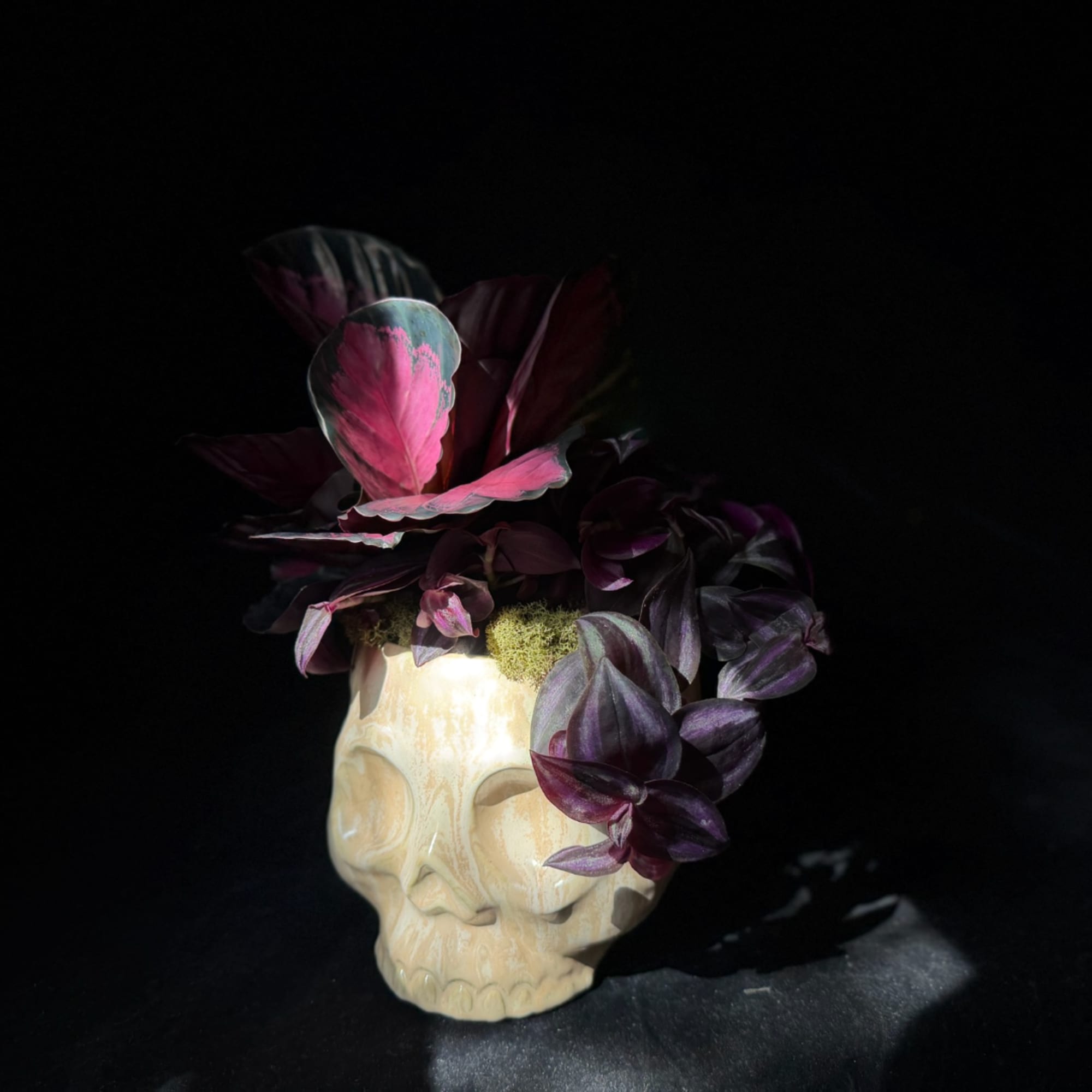 Purple foliage arrangement in a skull-shaped planter