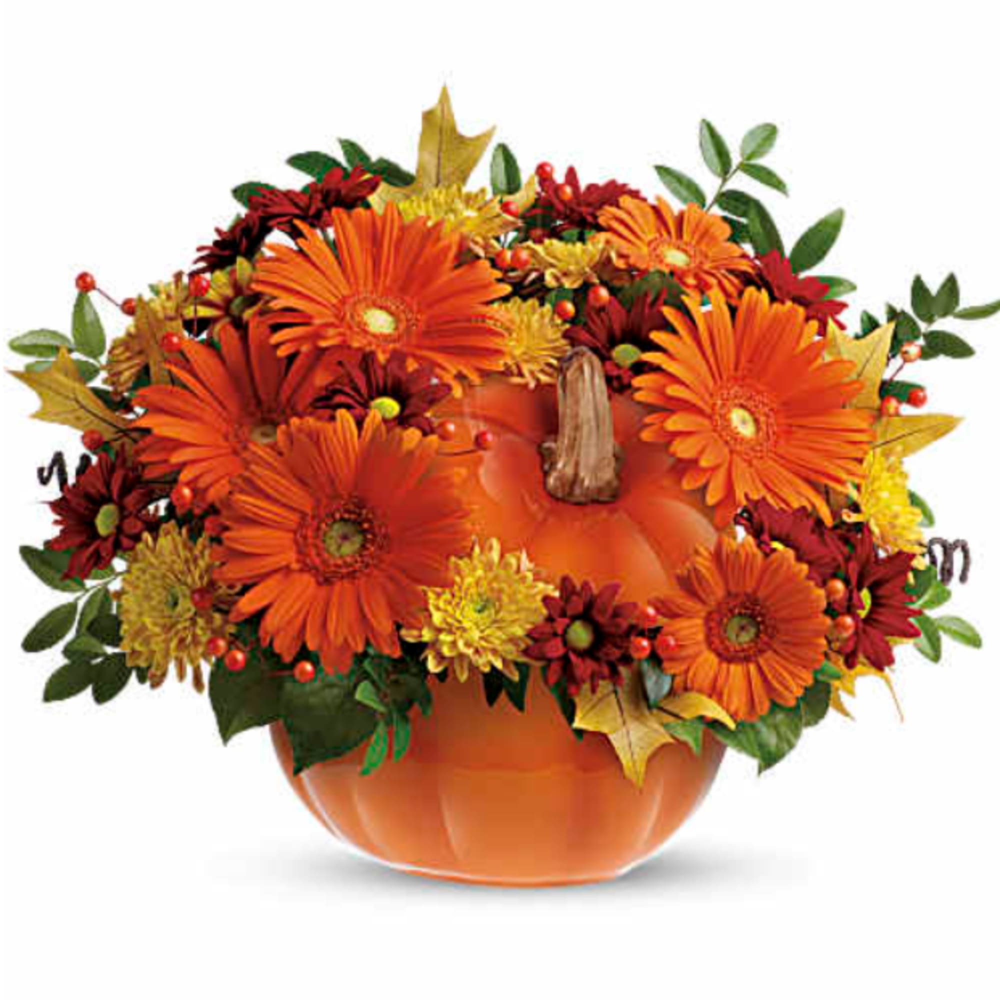 Orange gerbera daisies arranged in a pumpkin-shaped vase