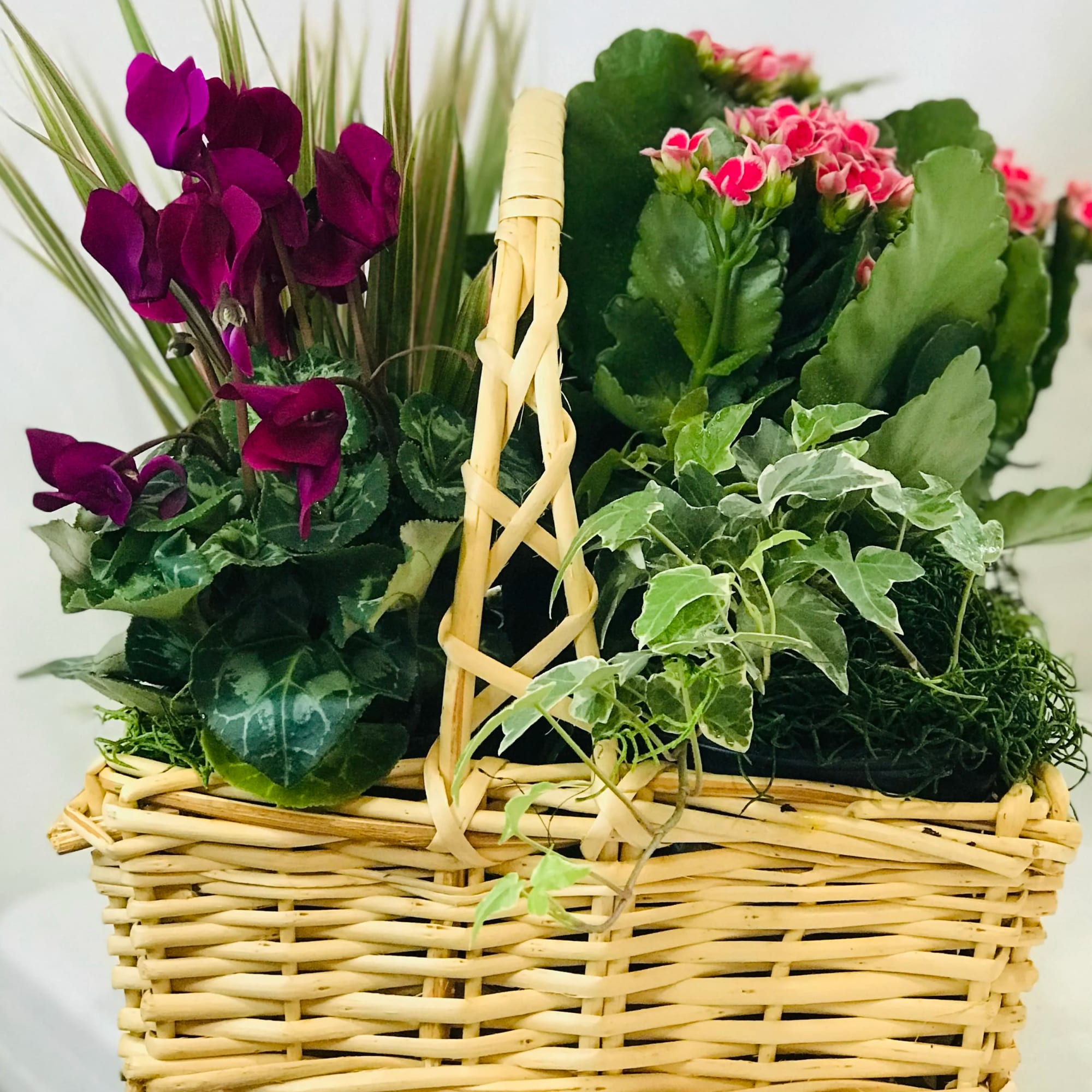 Basket of potted flowering plants with purple and pink blooms