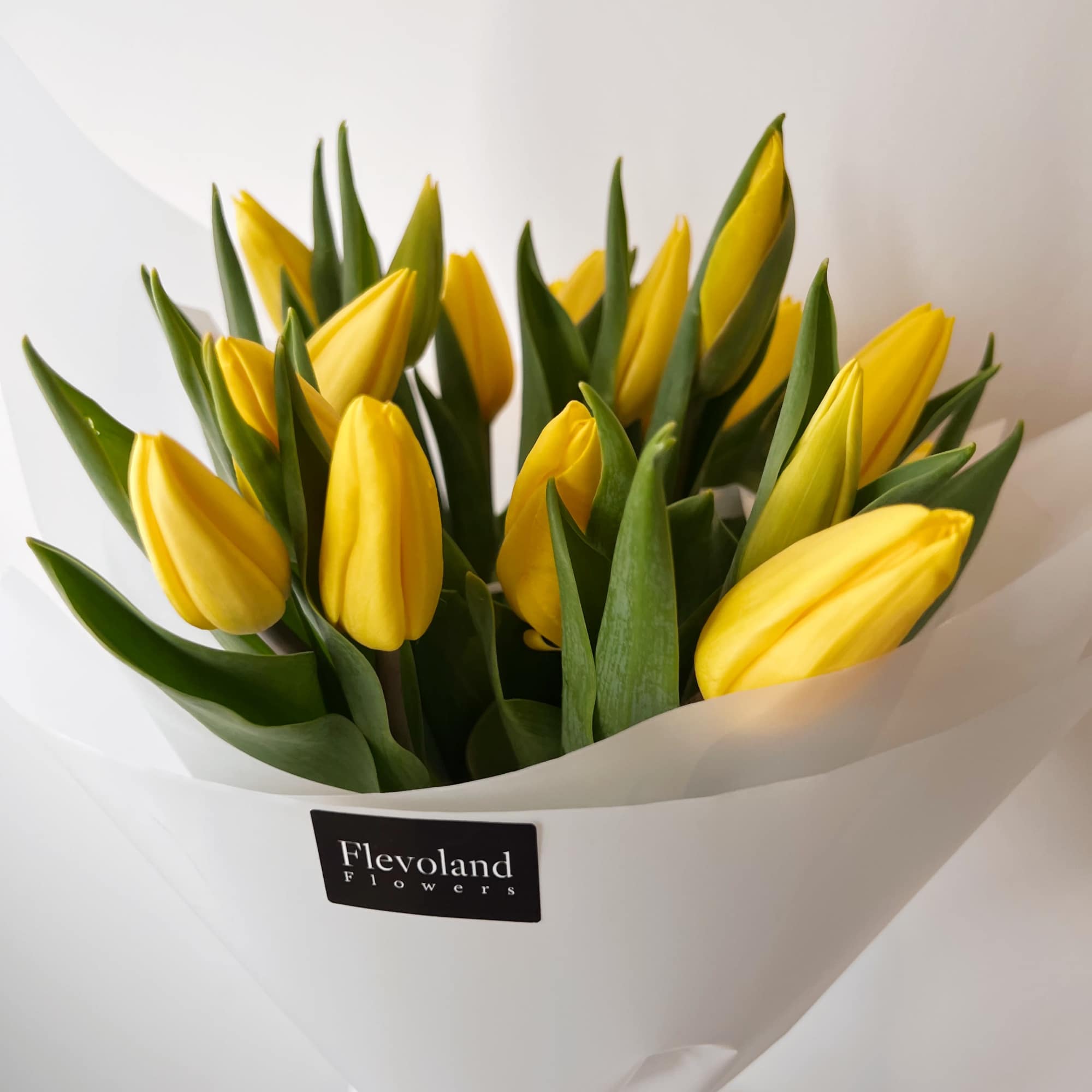 Bouquet of yellow tulips wrapped in white paper