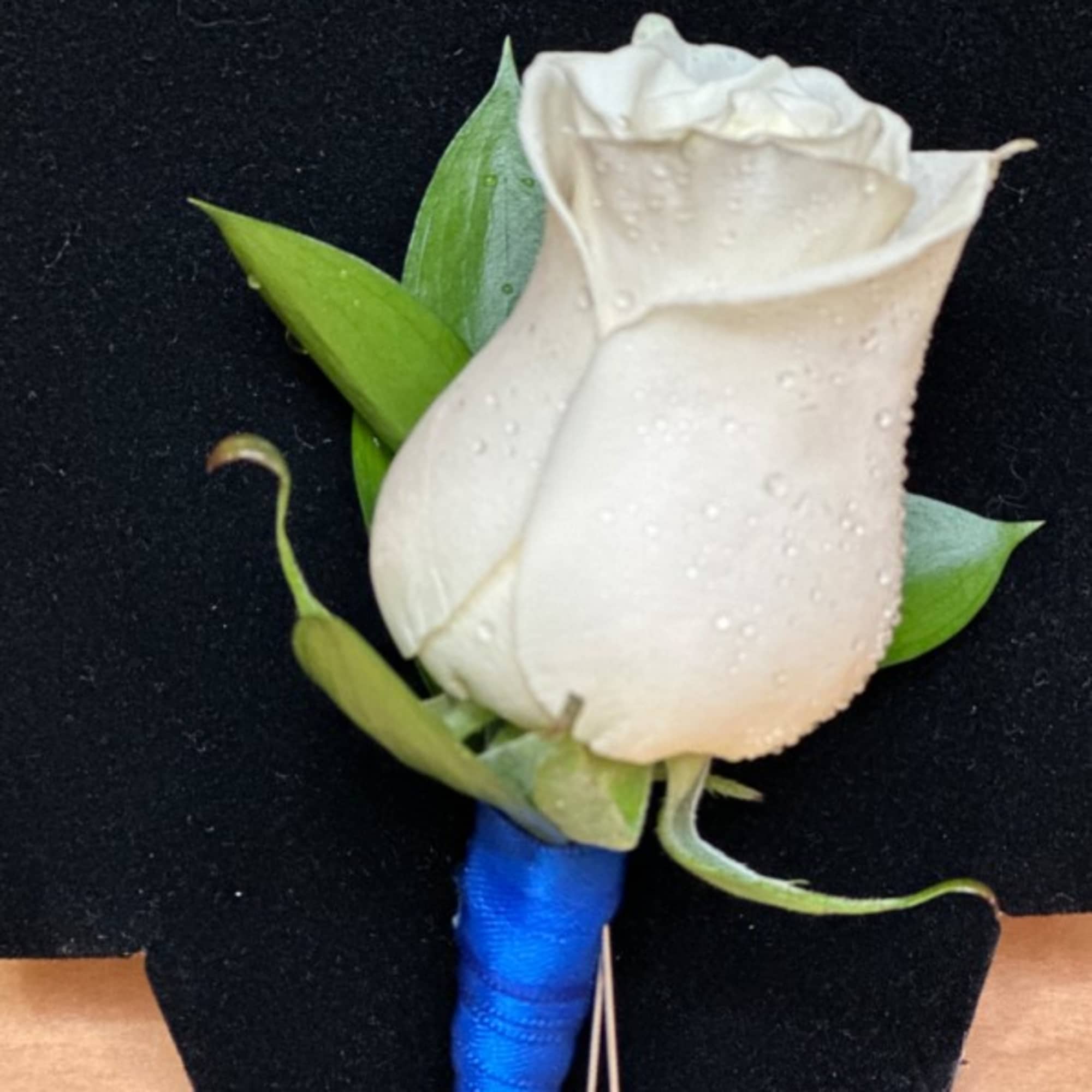 White rose boutonniere with green leaves and a blue wrapped stem