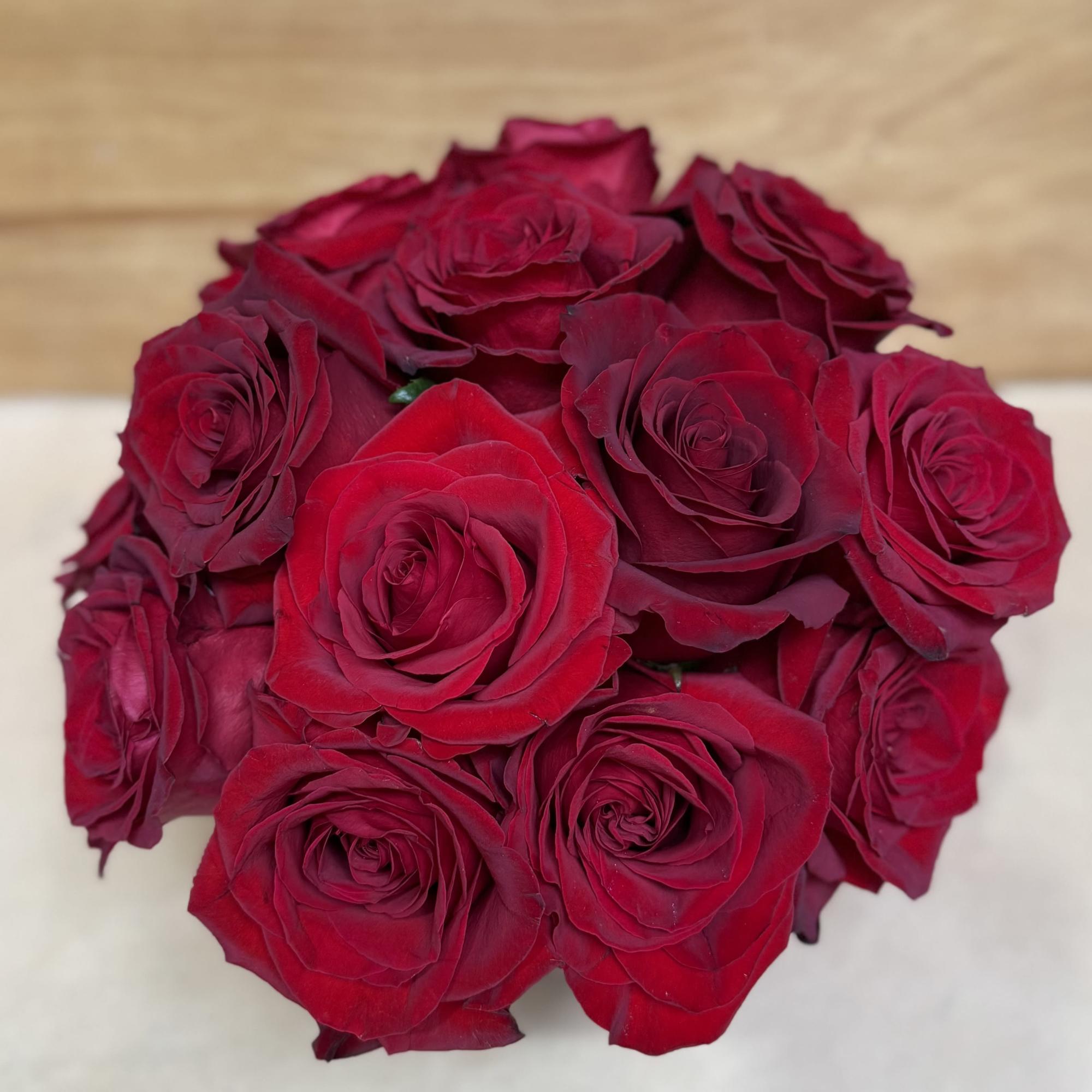 15 red roses exquisitely arranged in a 6" bubble bowl..
Height: Approximately 10", photo 2 of 3